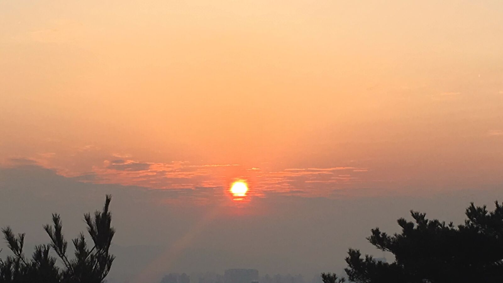 iPhone SE back camera 4.15mm f/2.2 sample photo. Sunrise, city, sky photography