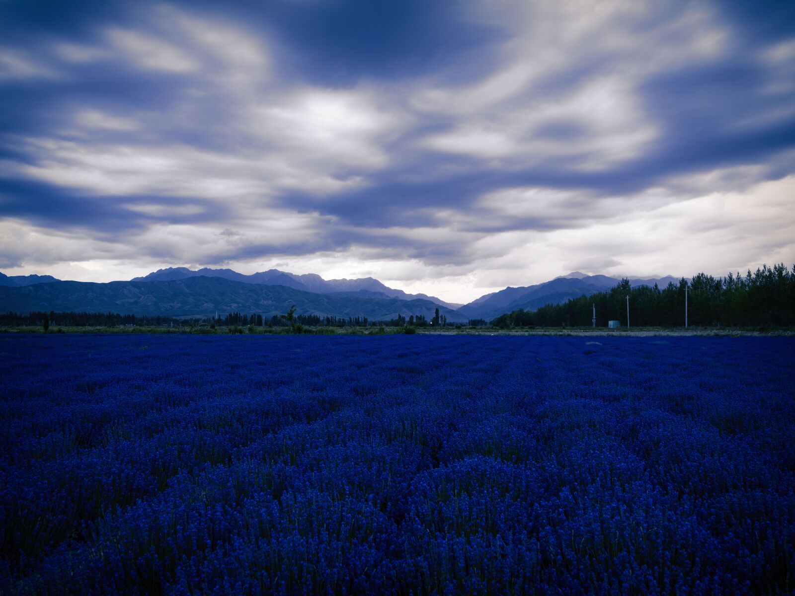 HD Pentax-DA645 28-45mm F4.5ED AW SR sample photo. Lavender, the sky, farmland photography