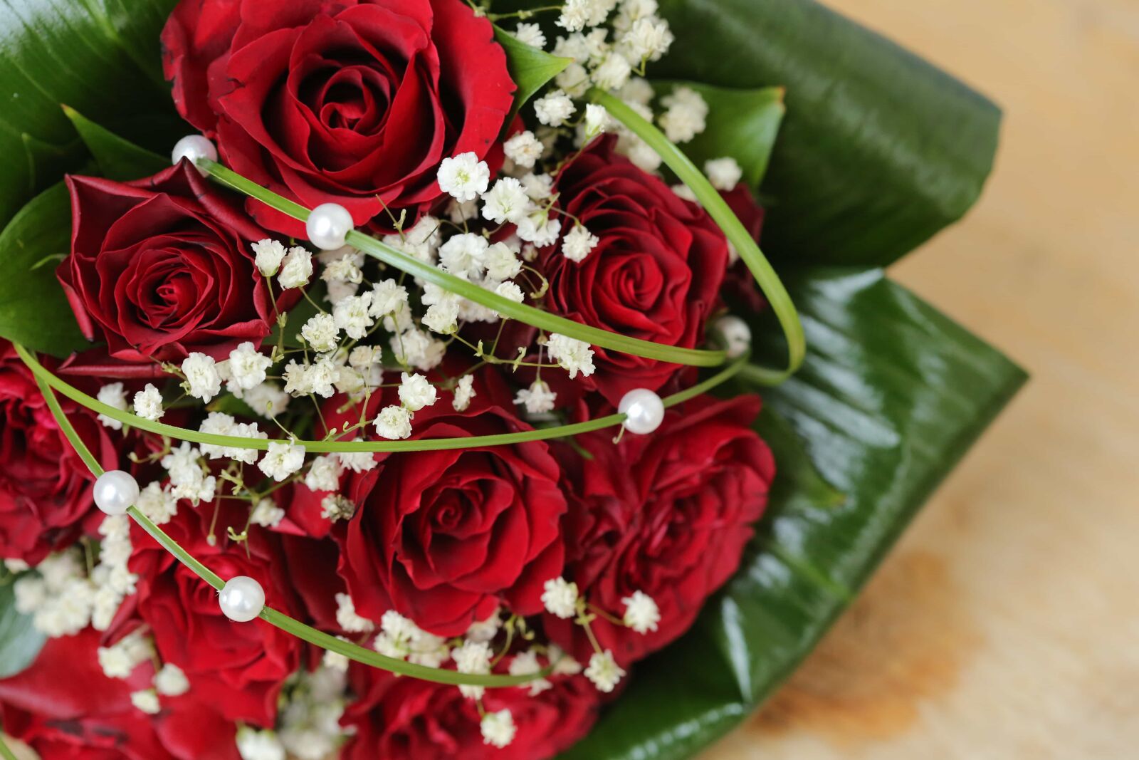 Canon EF 100mm F2.8 Macro USM sample photo. Green leaves, rosette, wedding photography