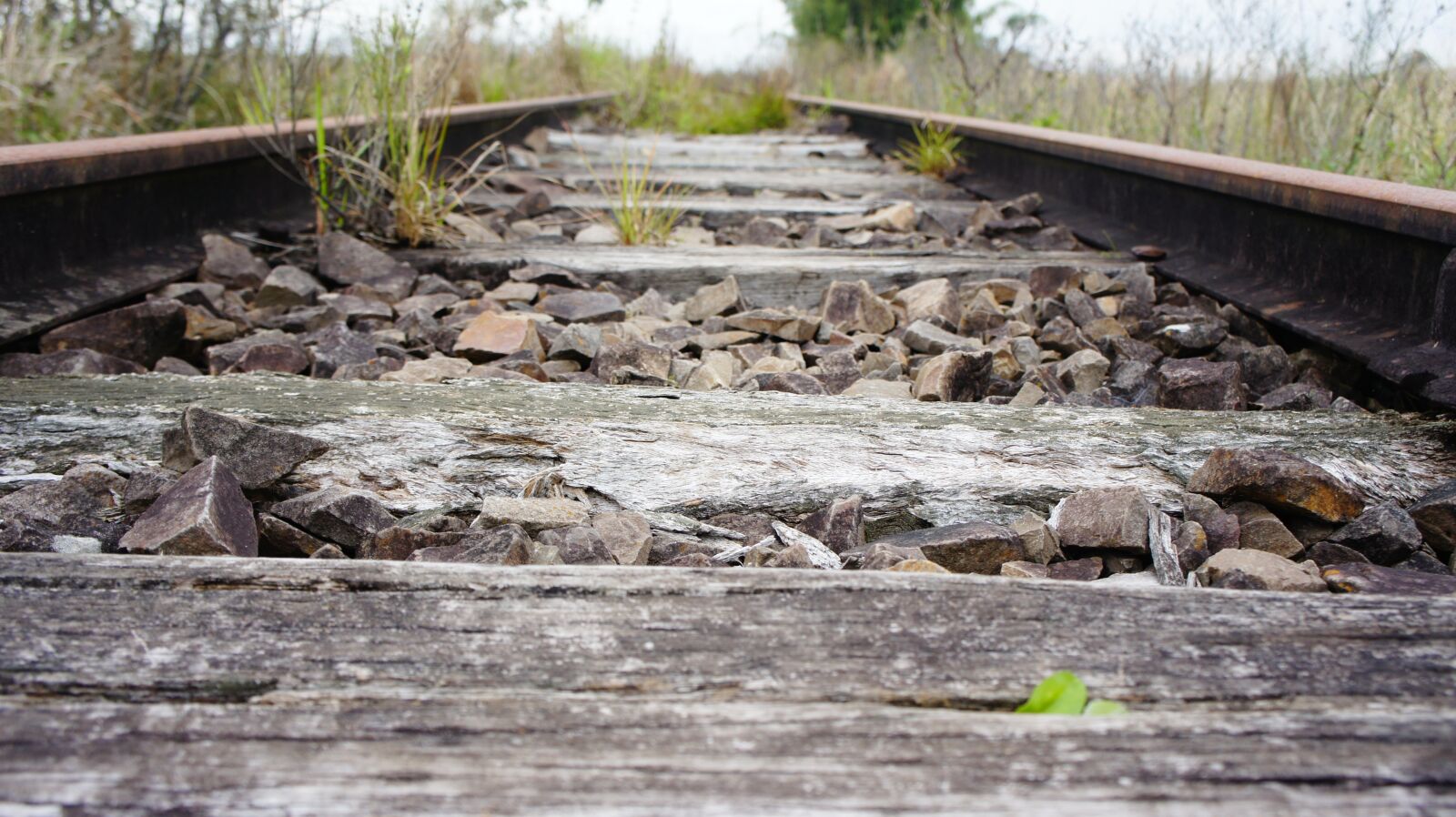 Sony Alpha NEX-3 + Sony E 18-55mm F3.5-5.6 OSS sample photo. Trail, train, abandoned photography