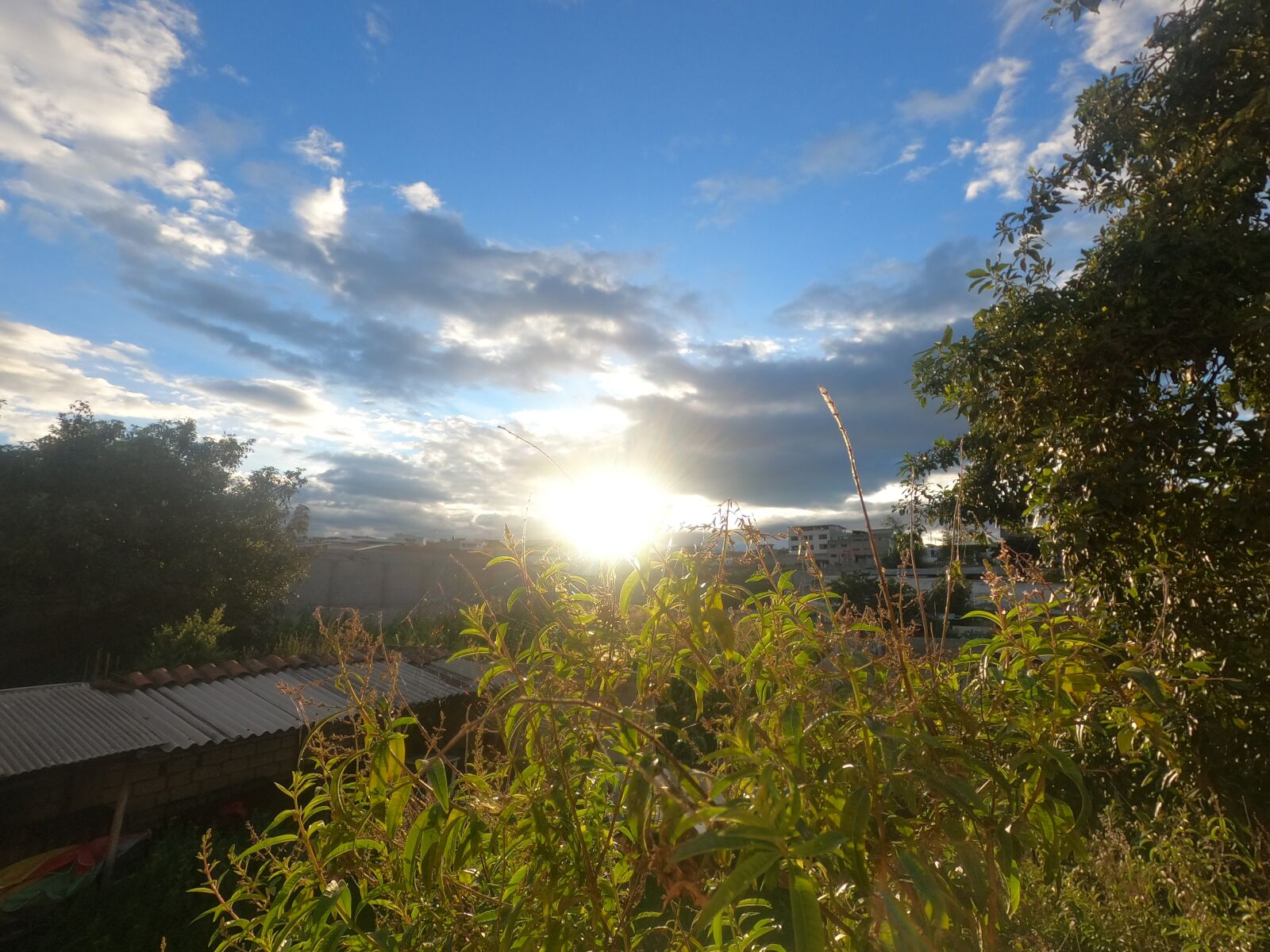 GoPro Hero8 Black sample photo. Cielo, sol, hojas photography