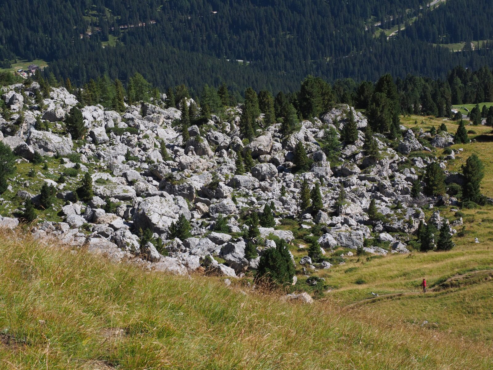 Olympus OM-D E-M1 + Olympus M.Zuiko Digital ED 12-40mm F2.8 Pro sample photo. Rock fall, scree, boulders photography