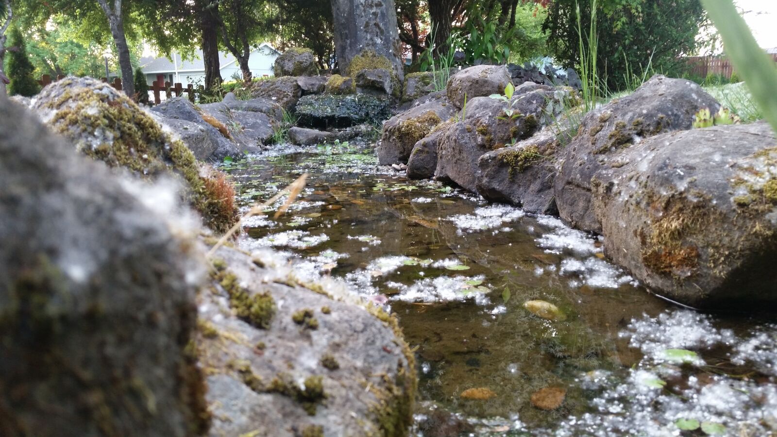 Samsung Galaxy S5 sample photo. Water, pond, rocks photography