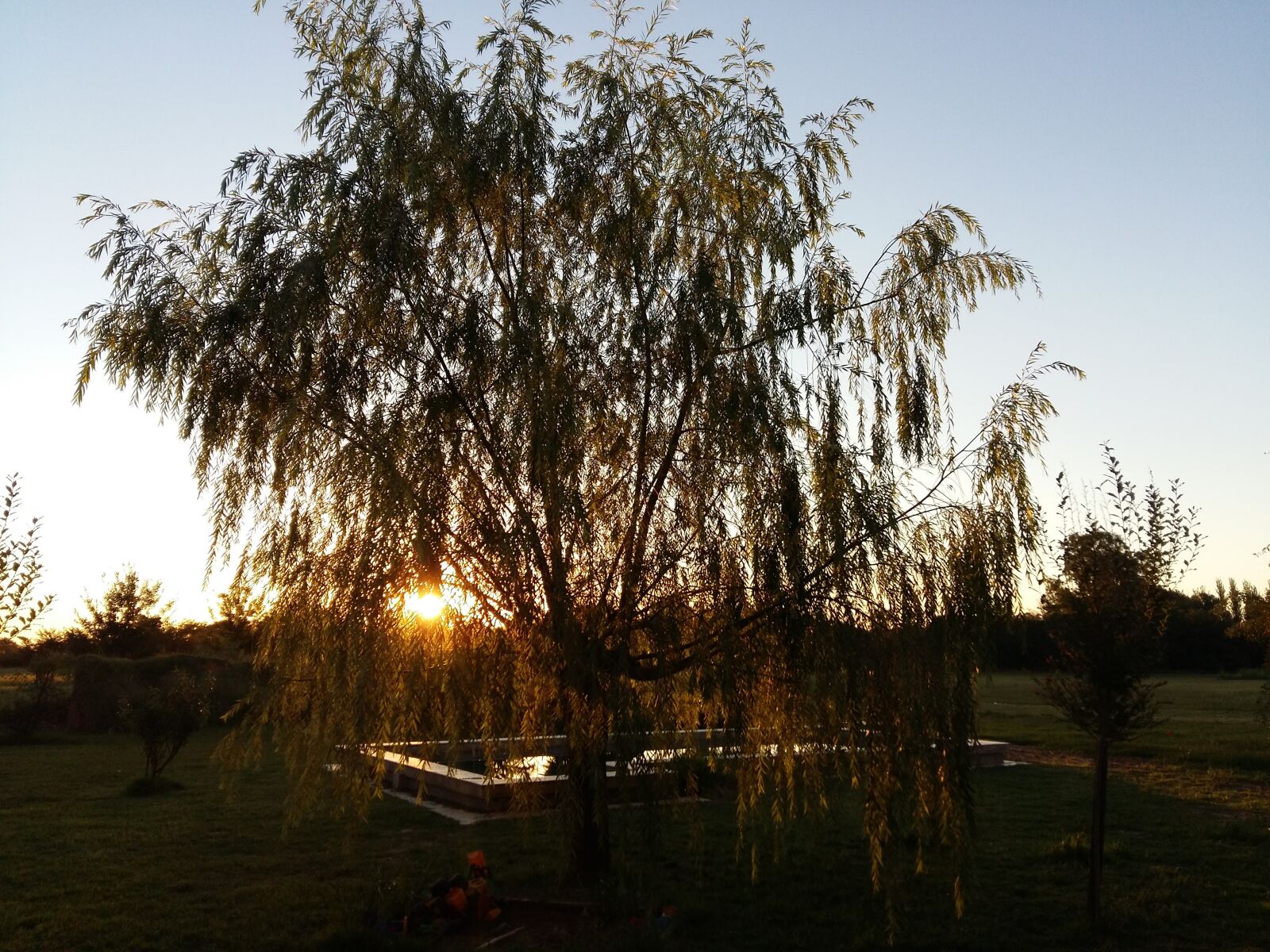 Samsung Galaxy A5 sample photo. Nature photography