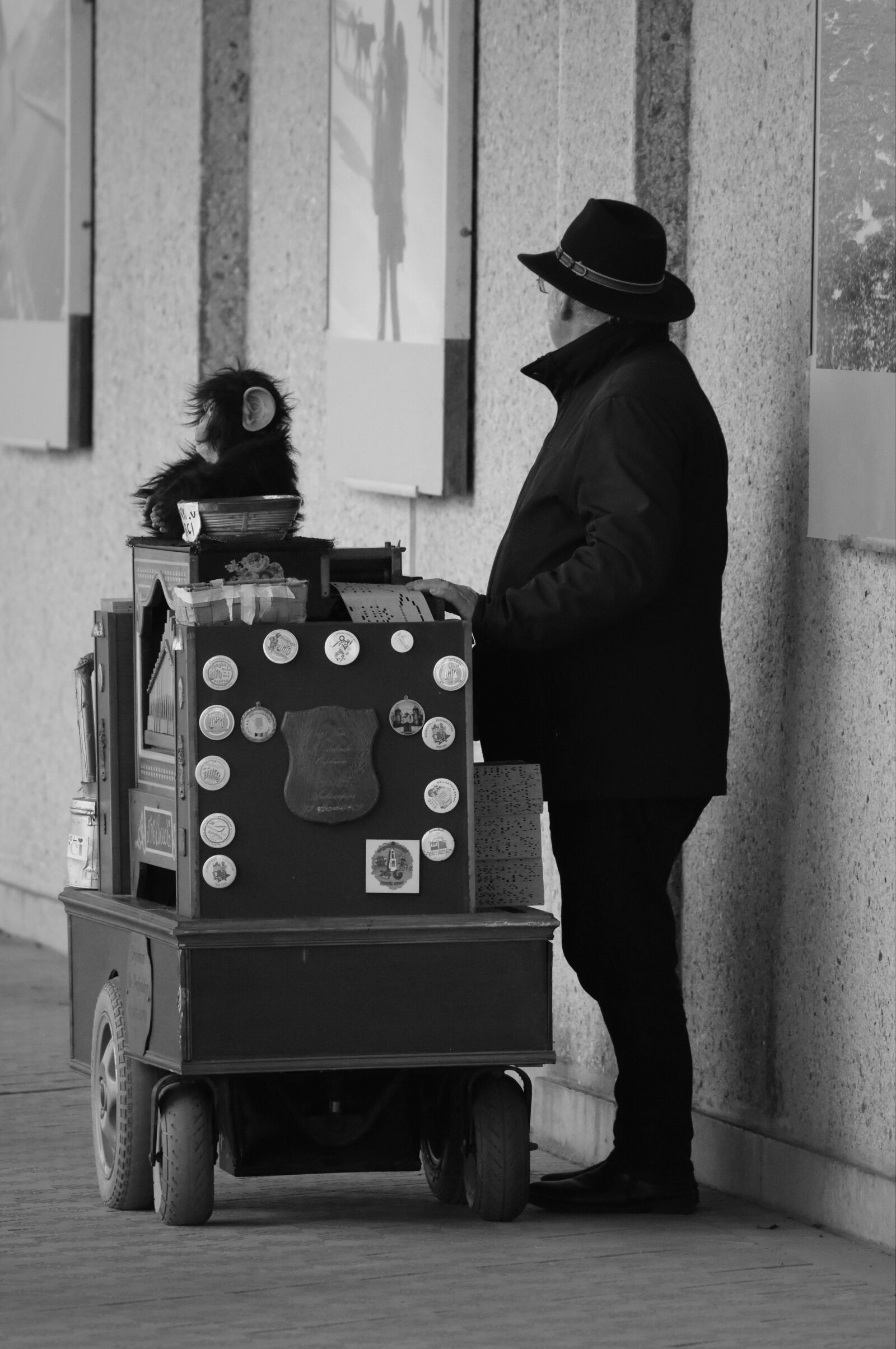 Nikon D7200 sample photo. Organ, organ player, music photography