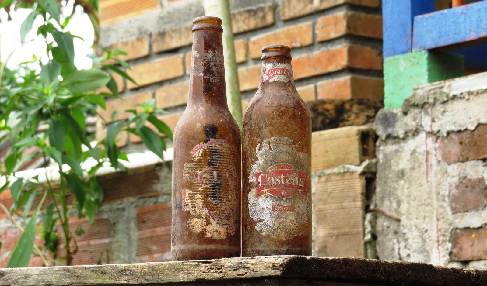Canon PowerShot SX50 HS sample photo. Container, glass, beer photography