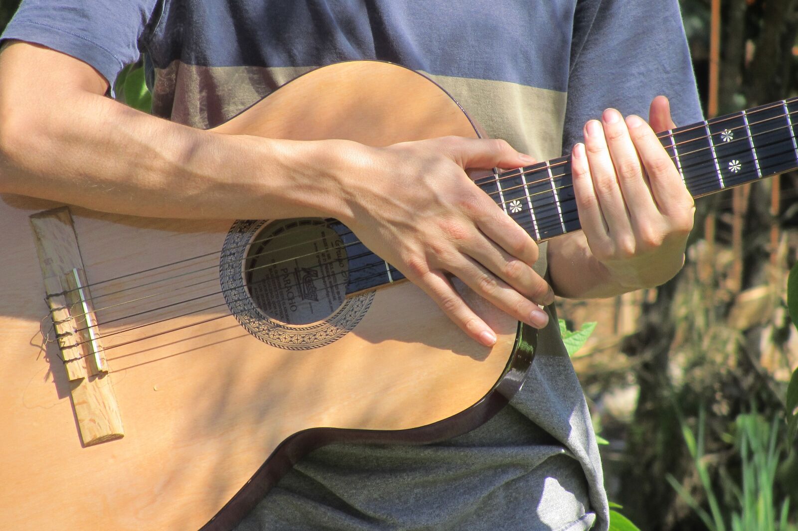 Canon PowerShot SX230 HS sample photo. Guitar, hands, instrument photography