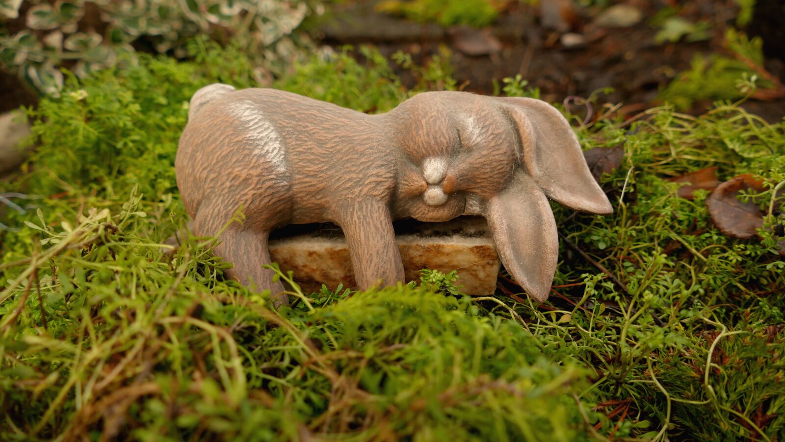 Panasonic Lumix DMC-FZ1000 sample photo. Easter, easter bunny, easter photography