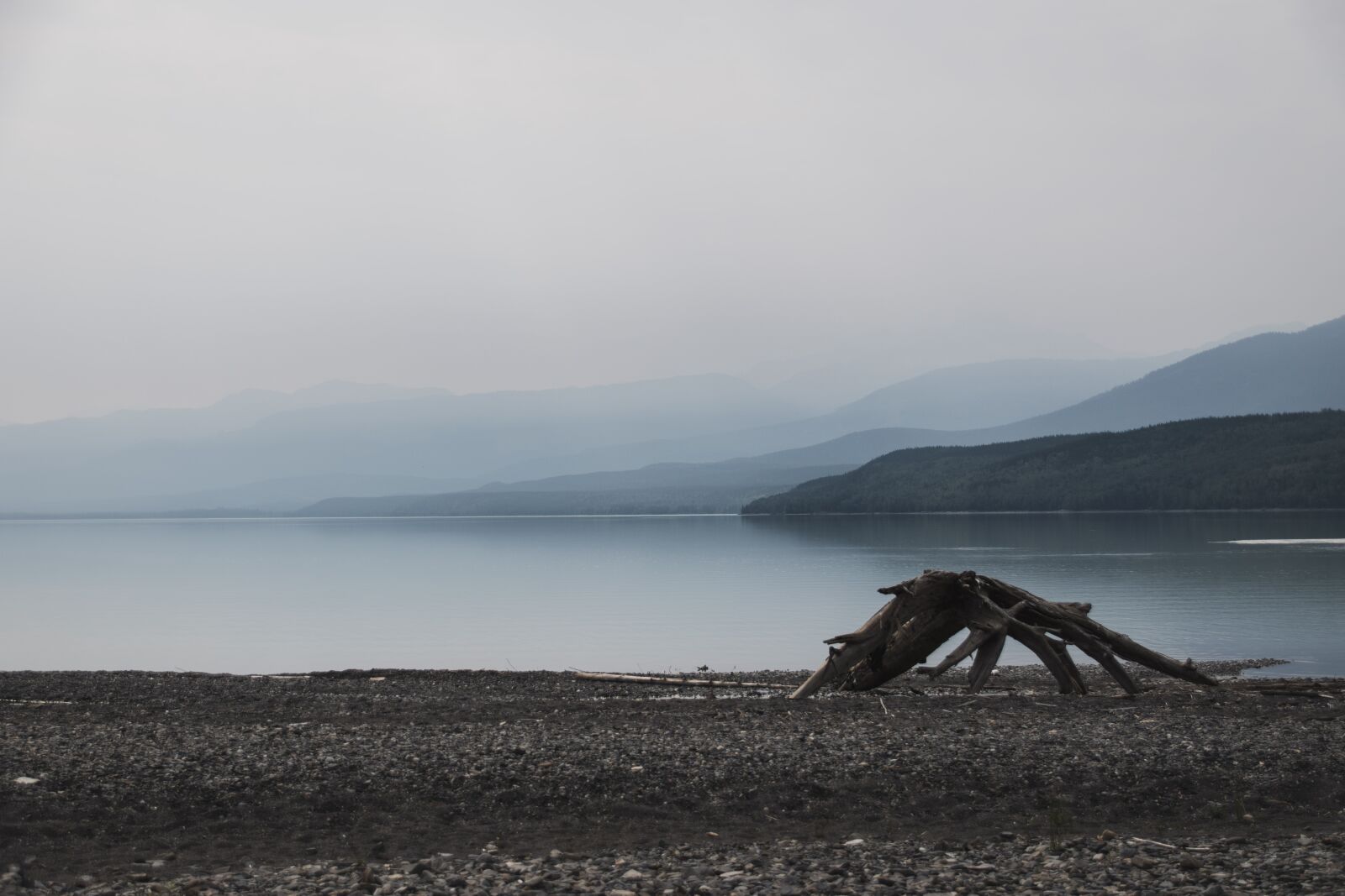 Nikon D5500 sample photo. Lake, mountains, log photography