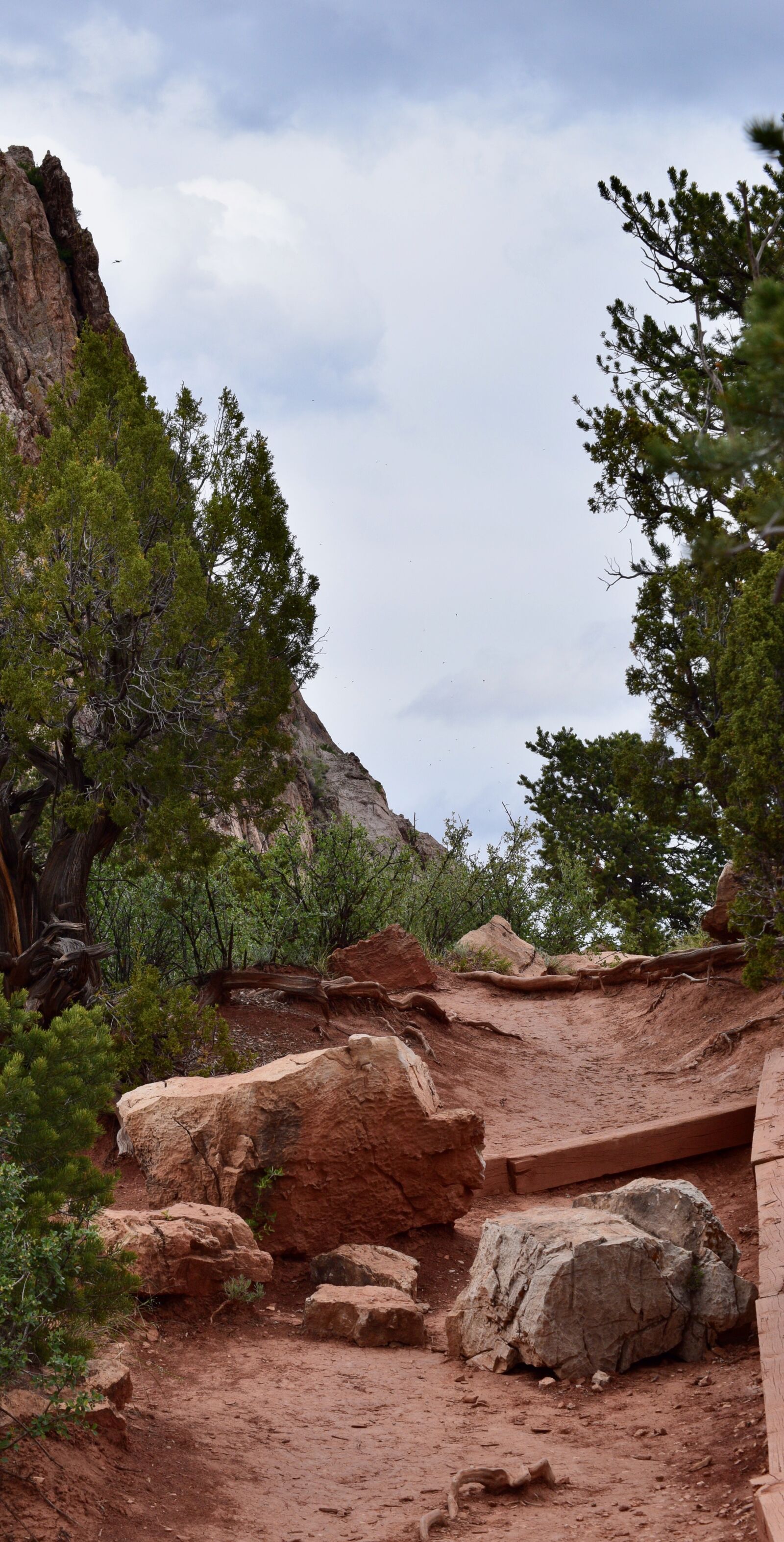 Nikon D5300 sample photo. Path, climb, stairs photography