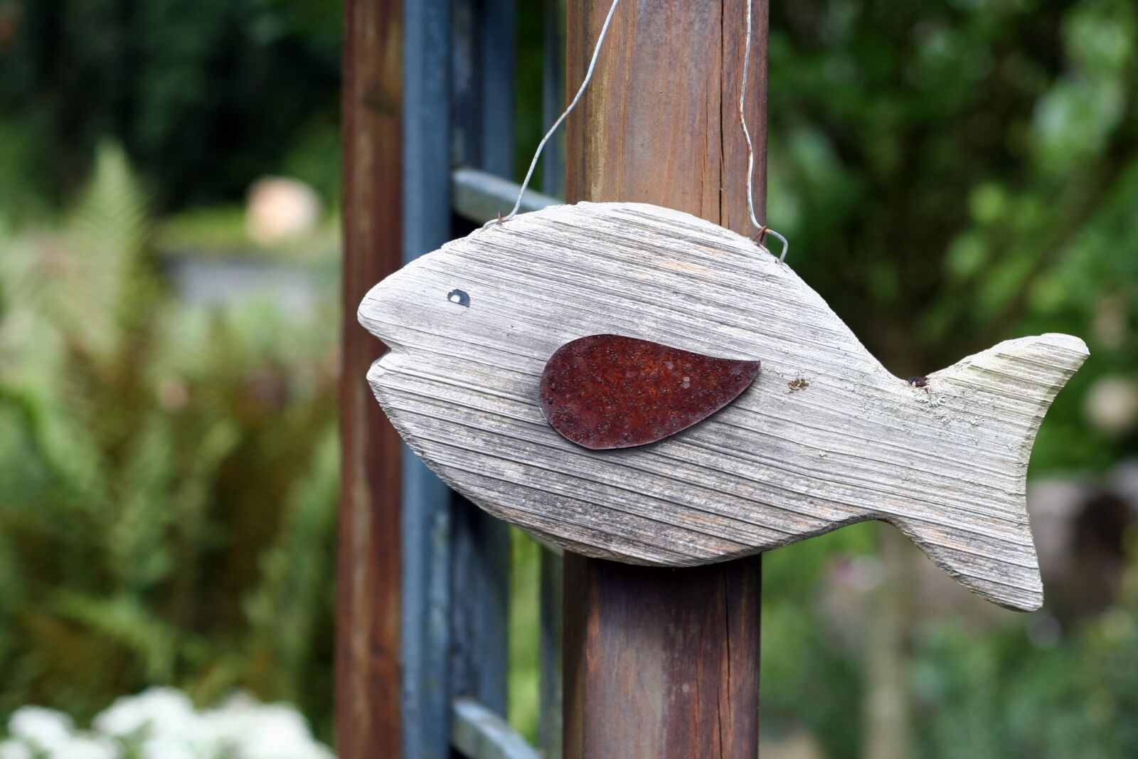 Canon EOS 350D (EOS Digital Rebel XT / EOS Kiss Digital N) sample photo. Fish, deco, wood photography