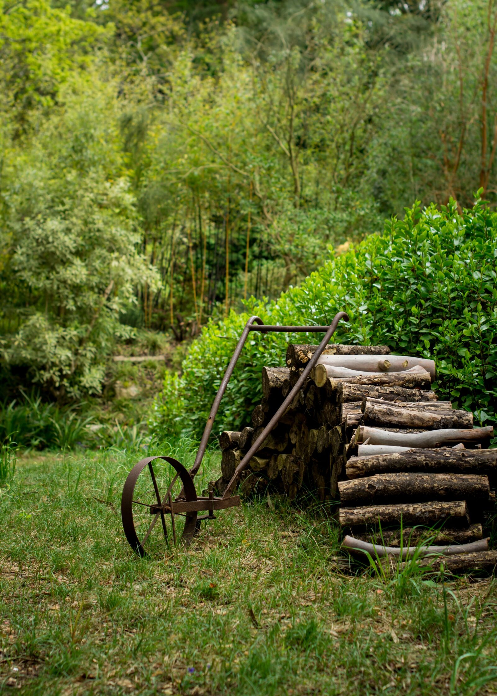 Nikon D7100 sample photo. Garden, summer, vintage photography