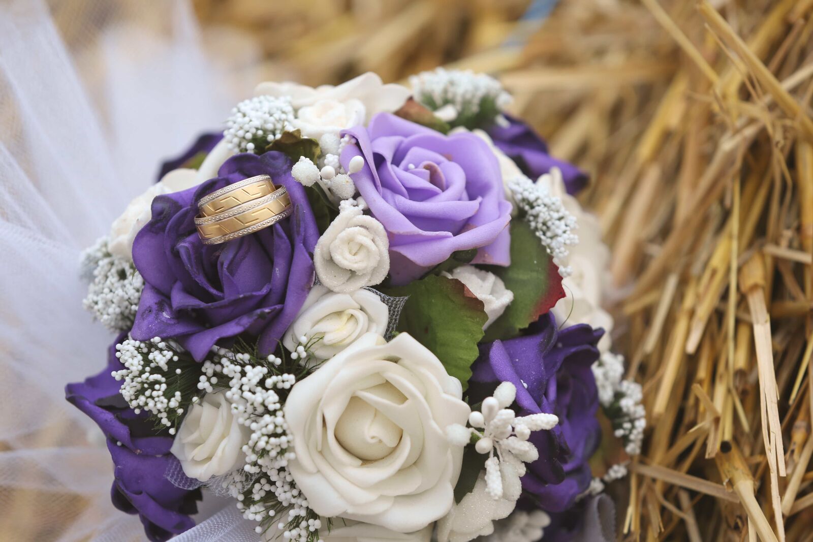Canon EOS 5D Mark III sample photo. Decoration, gold, hay, nostalgia photography