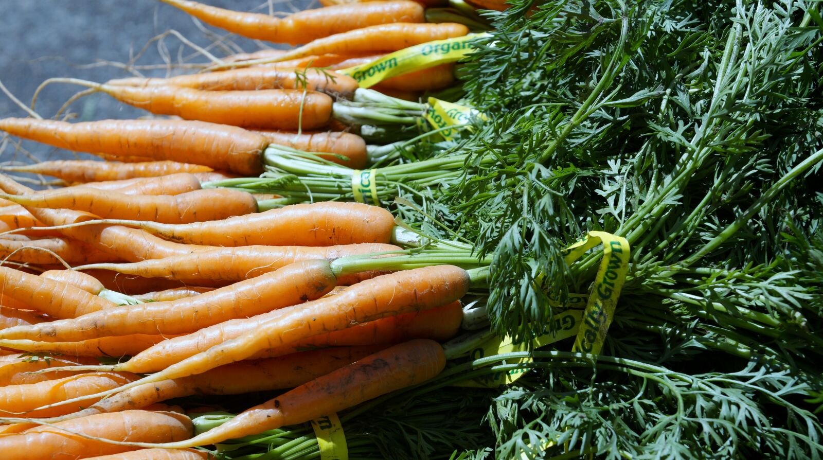 Sony SLT-A57 sample photo. Carrot, vegetable, farmers market photography