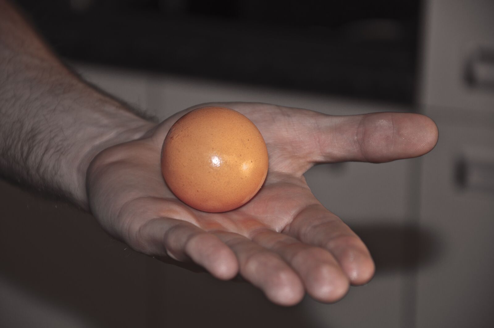 Nikon D90 sample photo. Egg, the hand, chicken photography