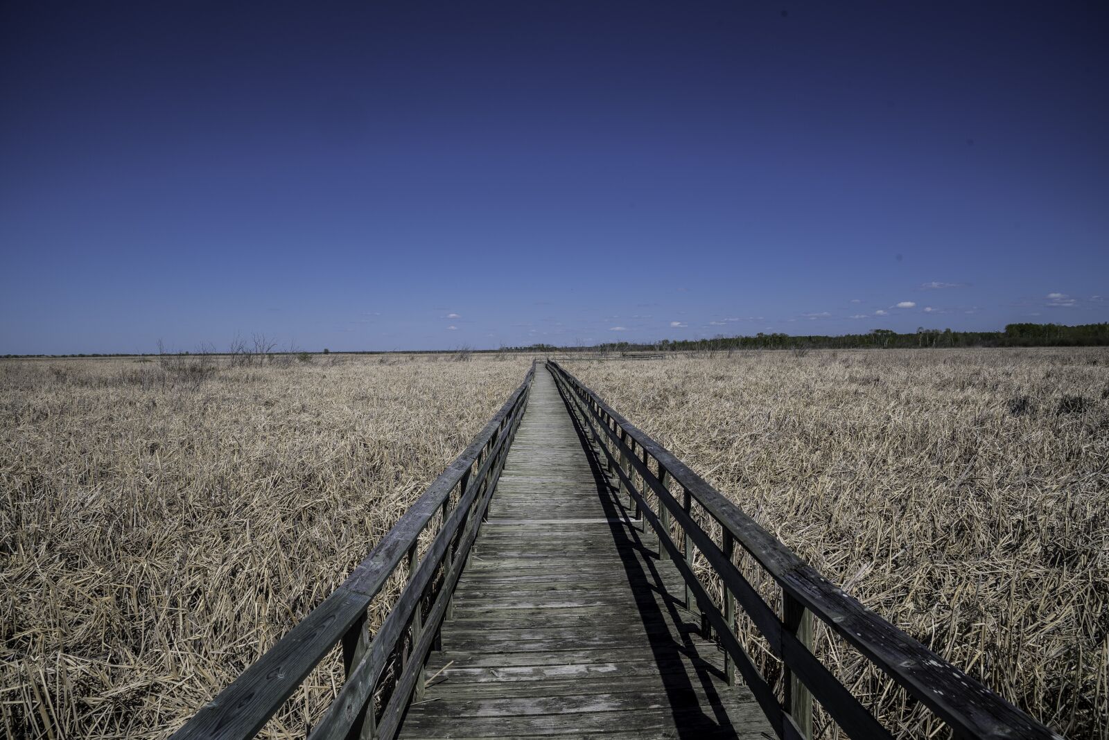 Nikon D750 sample photo. Boardwalk, walkway, landscape photography