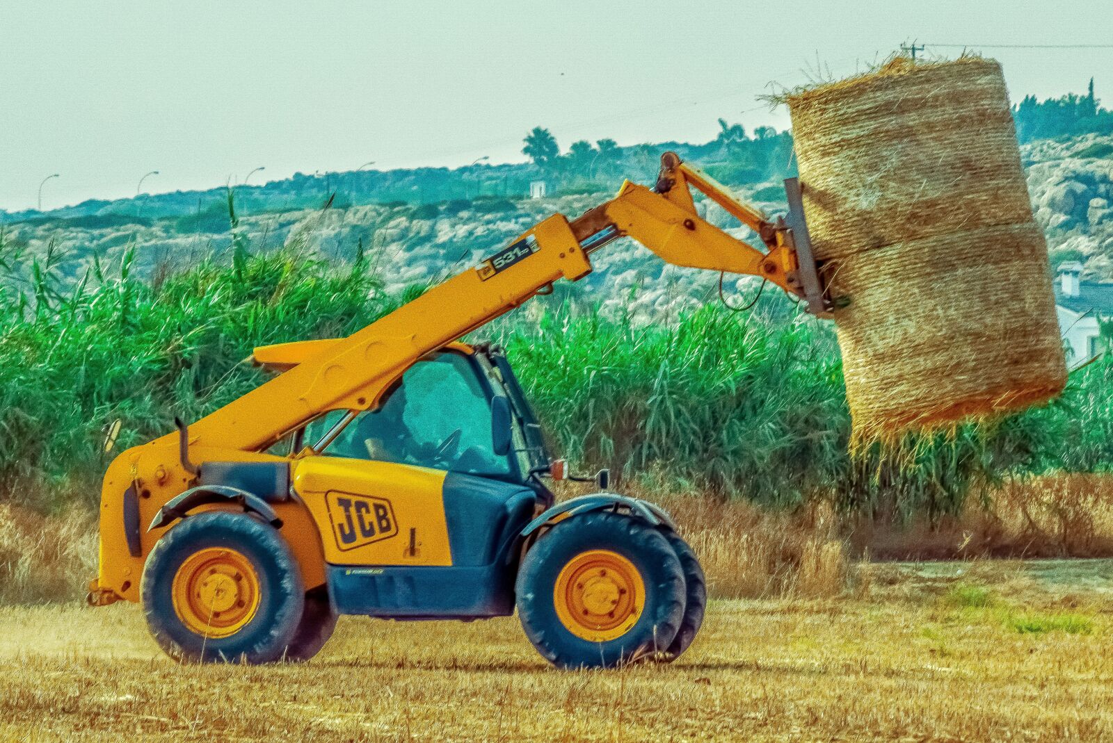 Nikon D3300 sample photo. Clark, lift, yellow photography