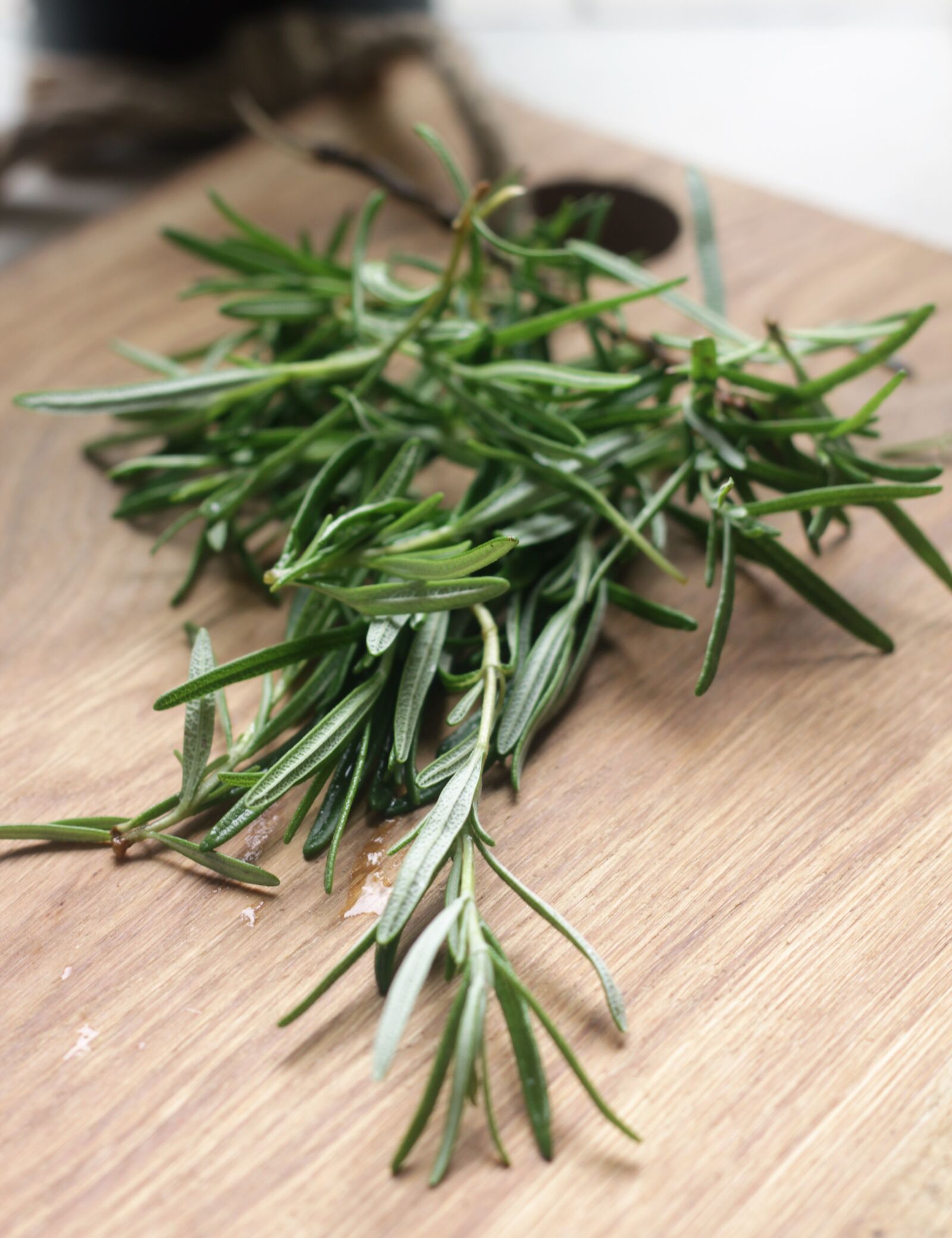 Canon EOS 600D (Rebel EOS T3i / EOS Kiss X5) + Canon EF 50mm F1.8 II sample photo. Rosemary, herbs, green photography