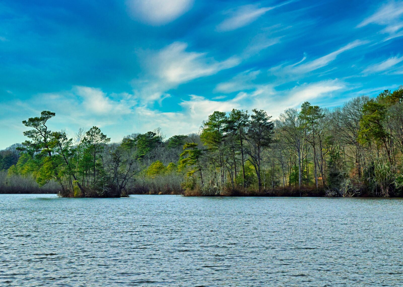 Nikon D3300 sample photo. Scenic, park, pond photography