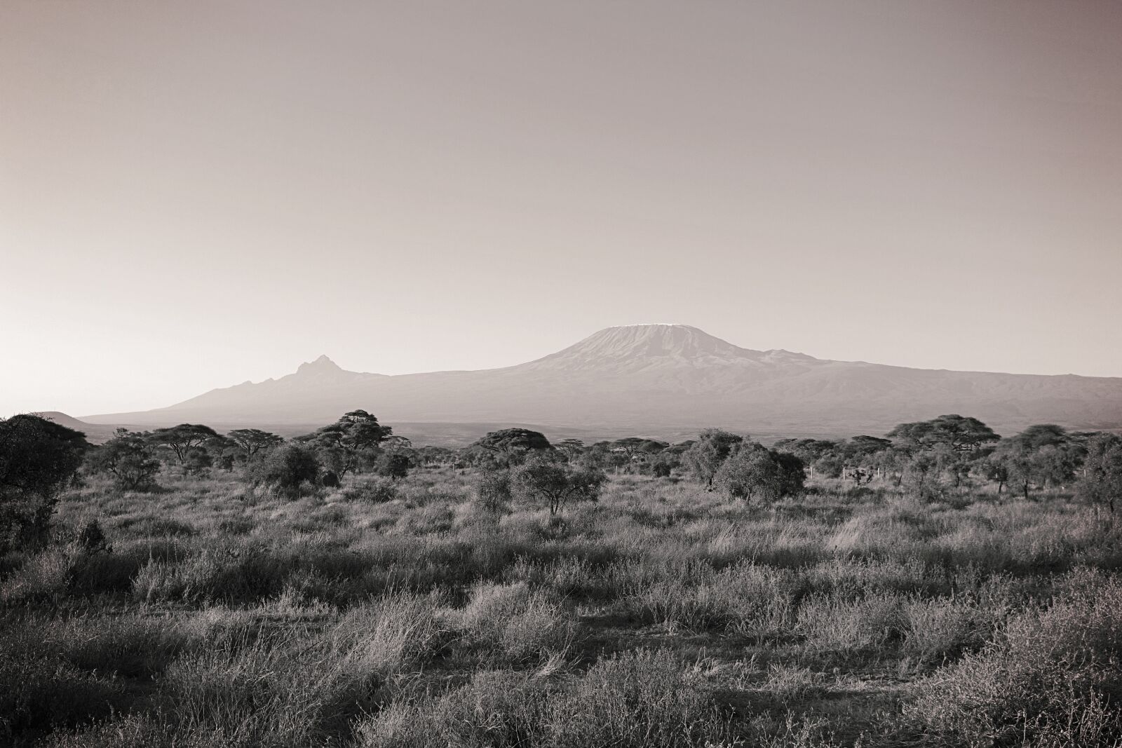 Canon EOS 600D (Rebel EOS T3i / EOS Kiss X5) sample photo. Africa, kilimanjaro, kenya photography