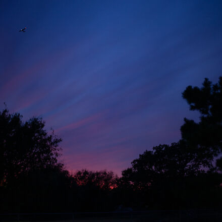 Canon EOS 5D Mark II + Canon EF 50mm F1.8 STM sample photos