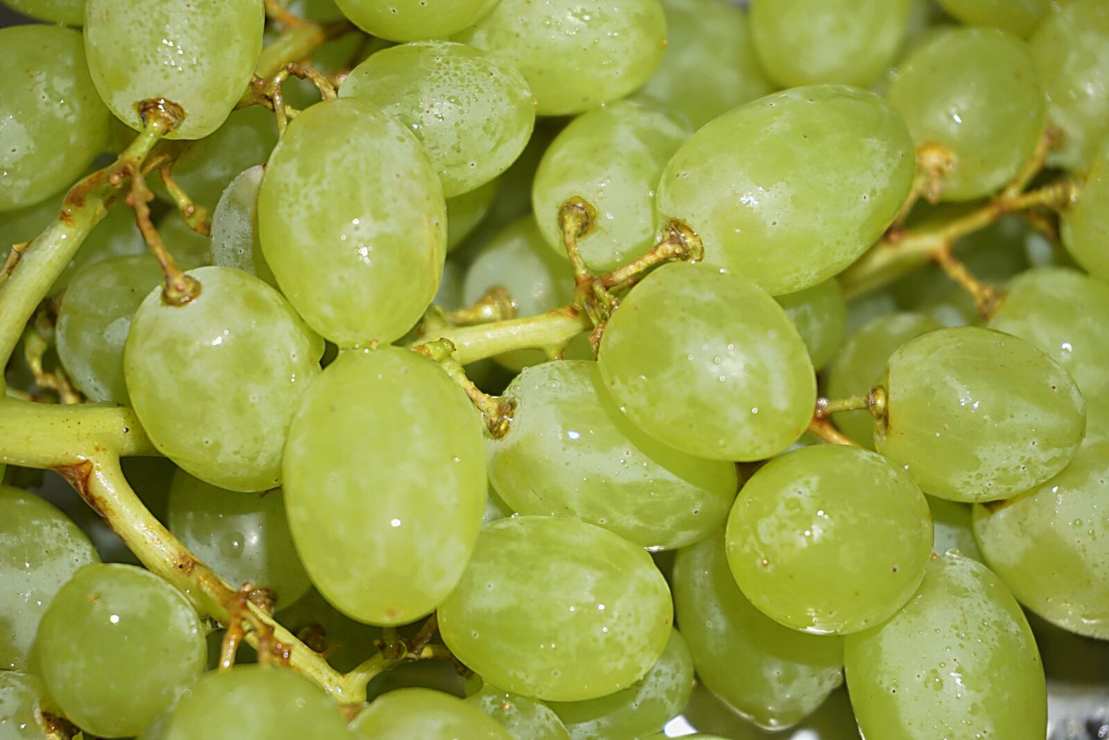Sony a6000 sample photo. Grapes, fruit, vine photography