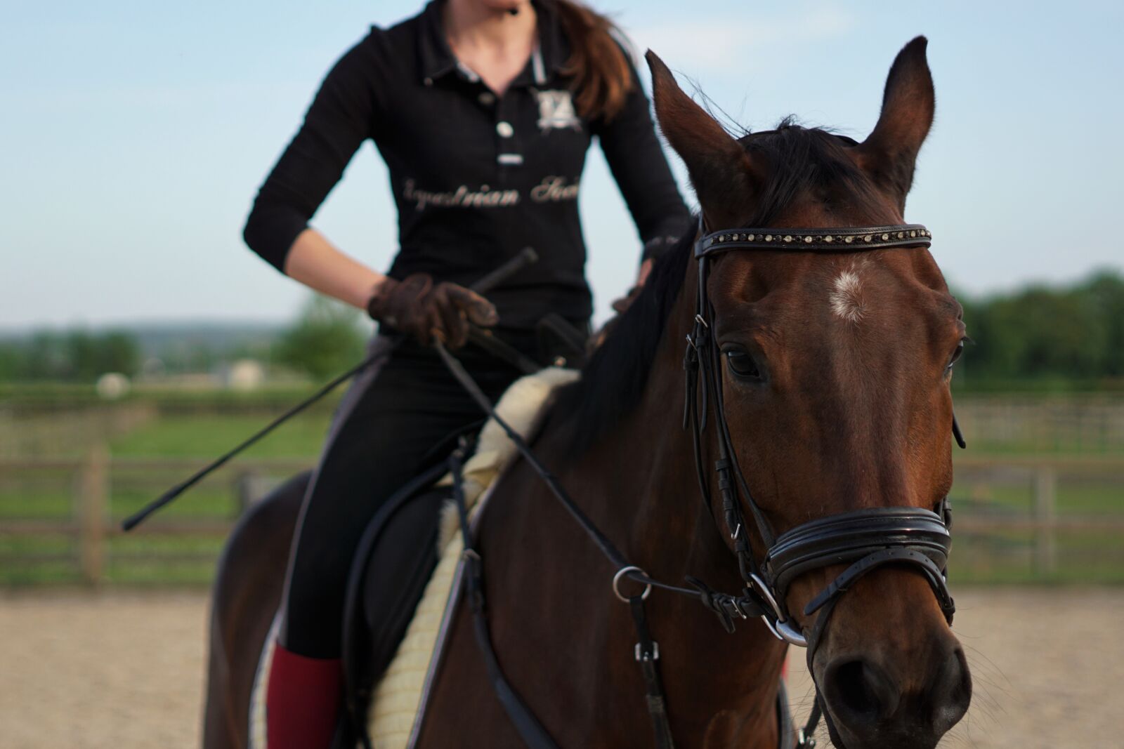 Sony a6000 sample photo. Horse, ride, reiterhof photography