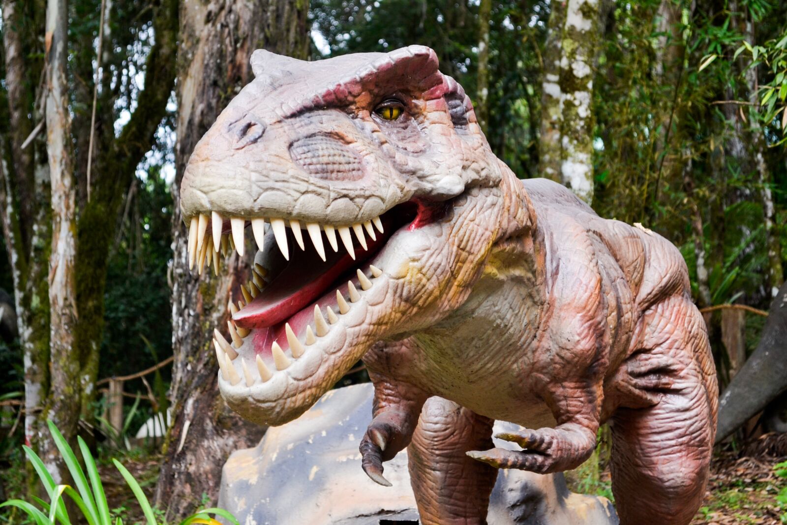 Nikon D3100 sample photo. Dinosaur, robot, jurassic photography