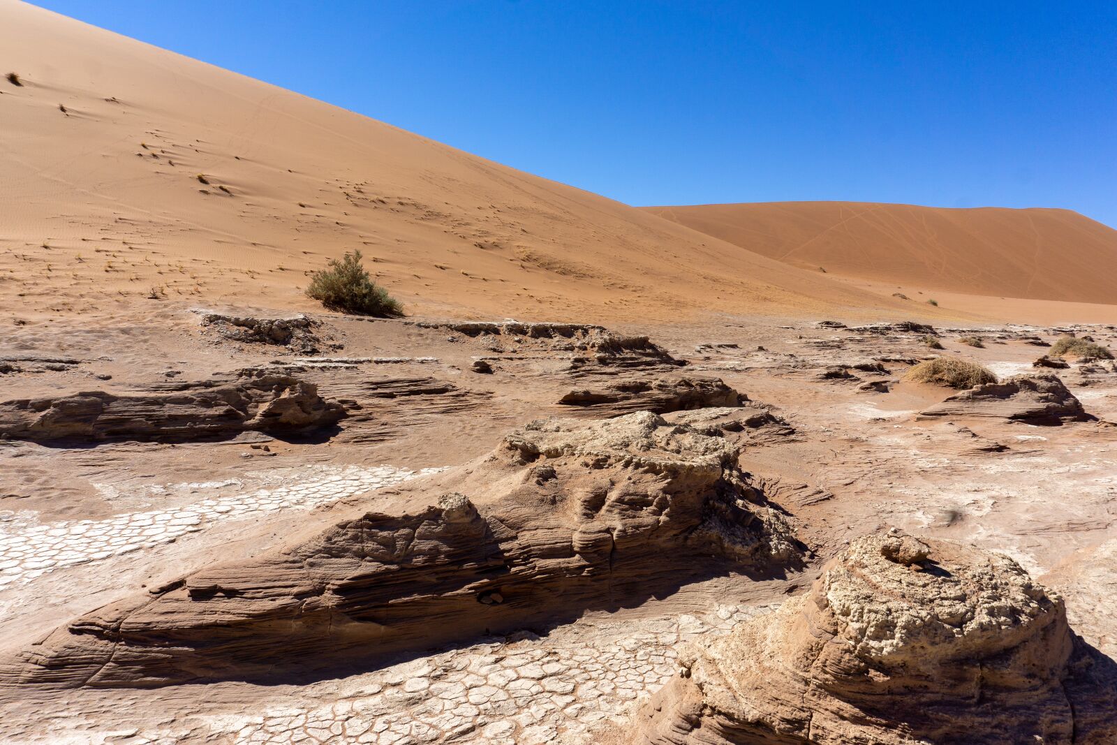 Sony E 16-50mm F3.5-5.6 PZ OSS sample photo. Desert, dunes, sand photography