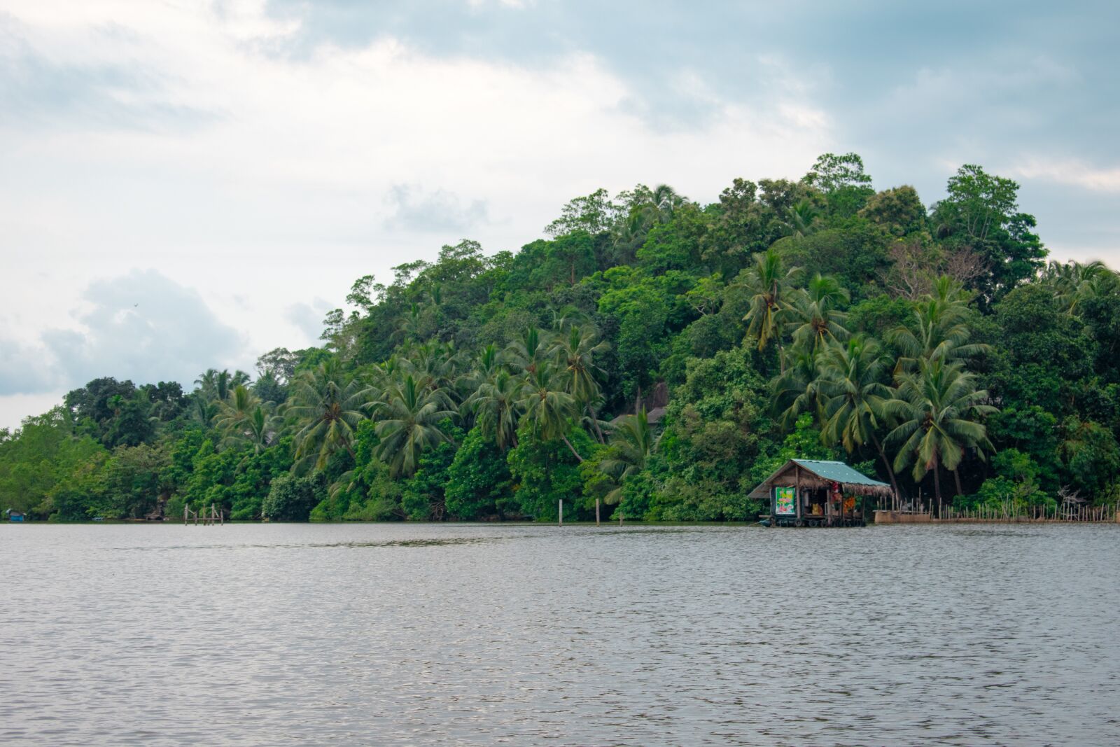 Nikon D3400 sample photo. Sri lanka, exotic, nature photography