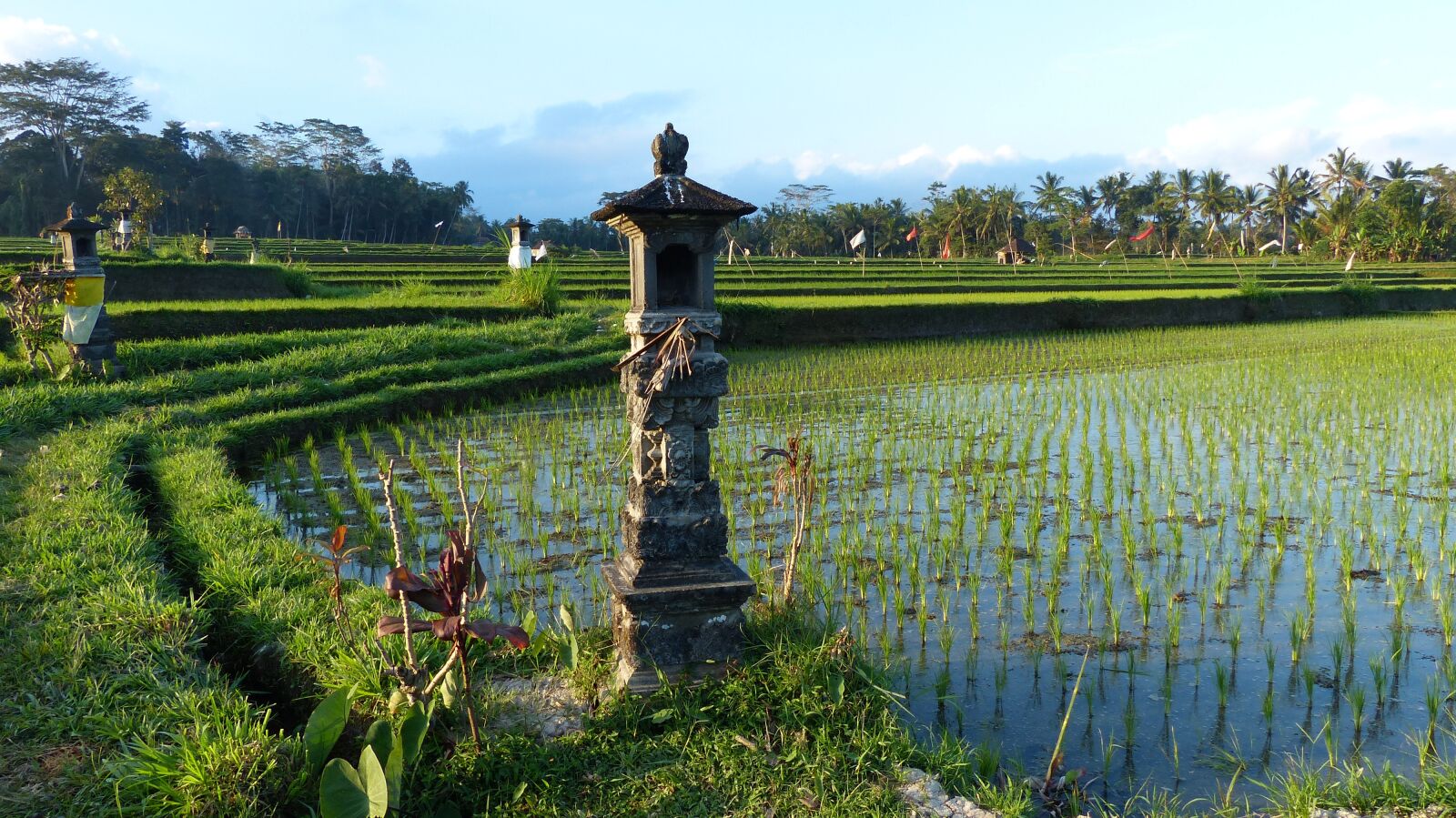 Panasonic Lumix DMC-FZ200 sample photo. Water, nature, agriculture photography