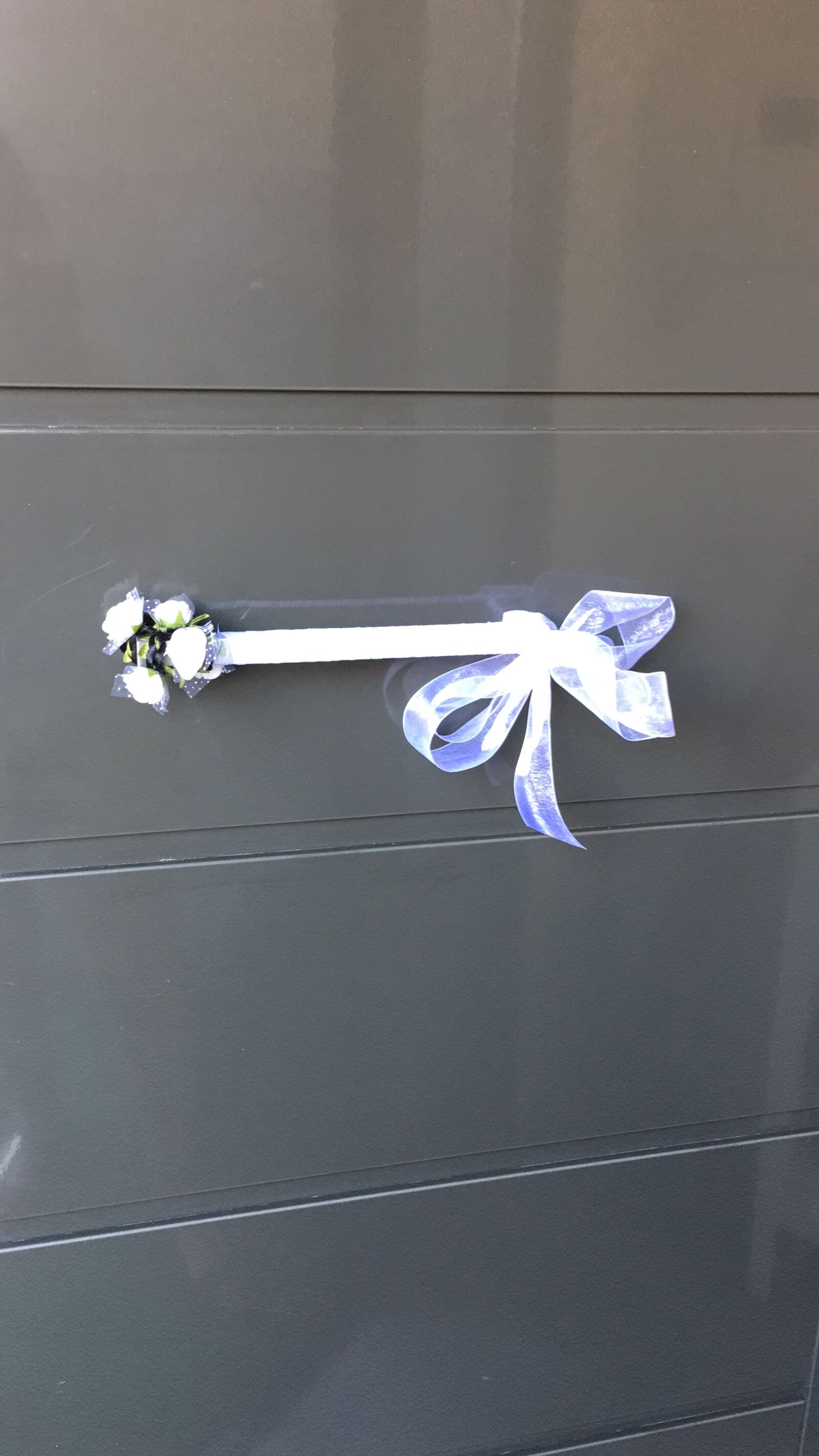 iPhone 6s Plus back camera 4.15mm f/2.2 sample photo. Door, wedding, romantic photography