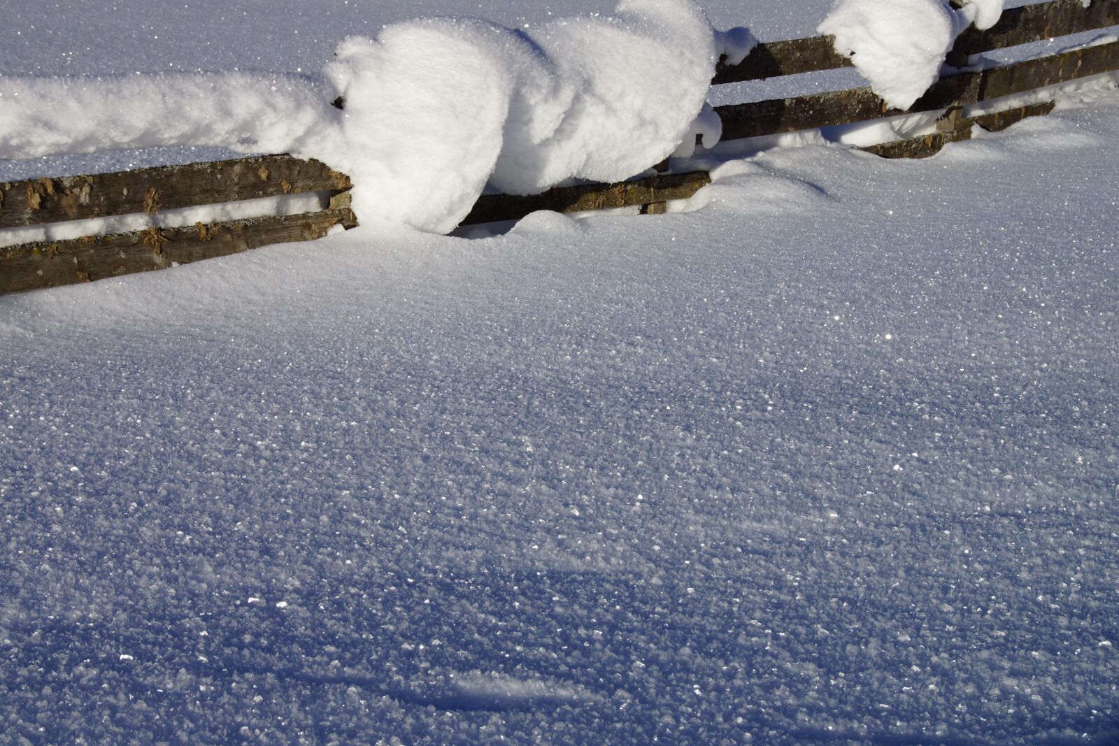 Sony SLT-A65 (SLT-A65V) sample photo. Wintry, deep snow, wicker photography