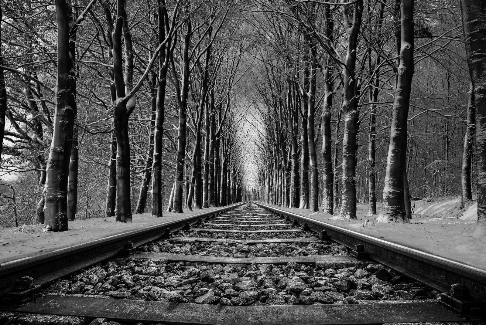 Nikon D80 sample photo. Rail, road, tree photography