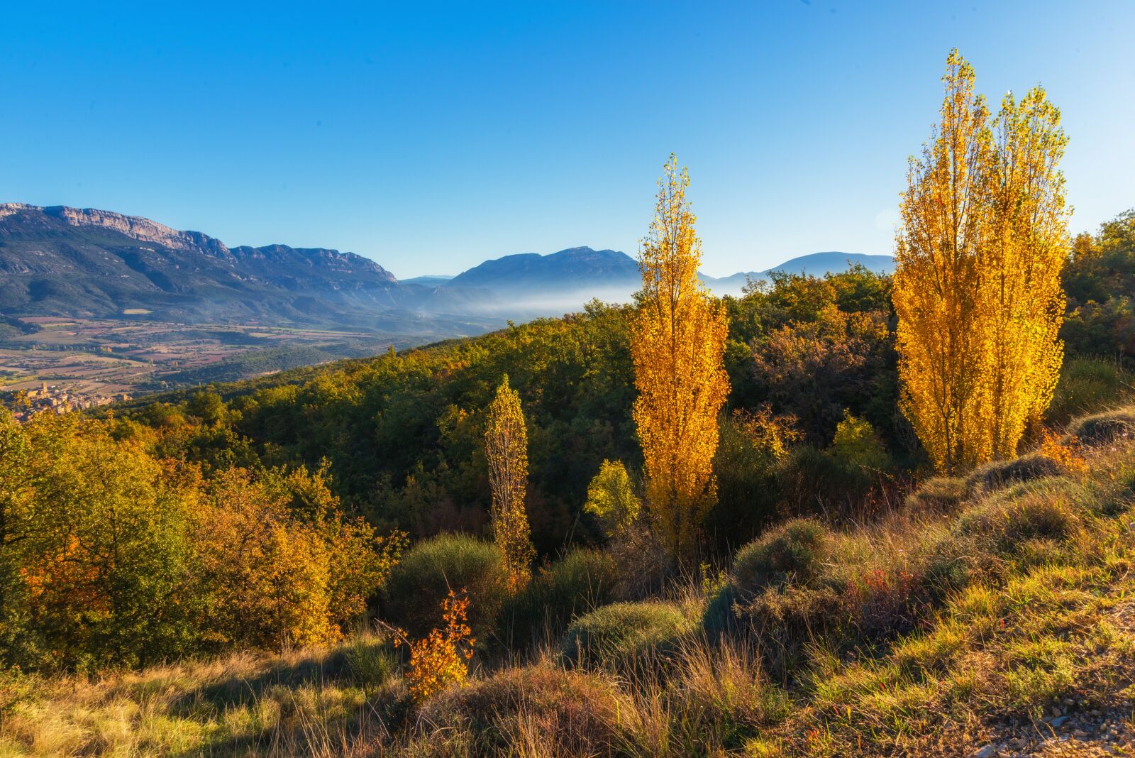 Nikon D610 sample photo. Landscape, autumn, ager photography