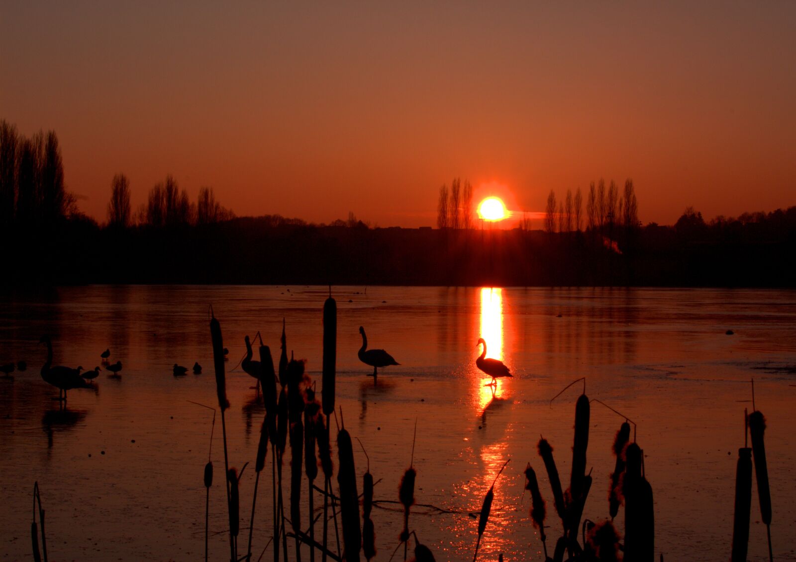 Canon EOS 1200D (EOS Rebel T5 / EOS Kiss X70 / EOS Hi) sample photo. Sunset, sun, landscape photography