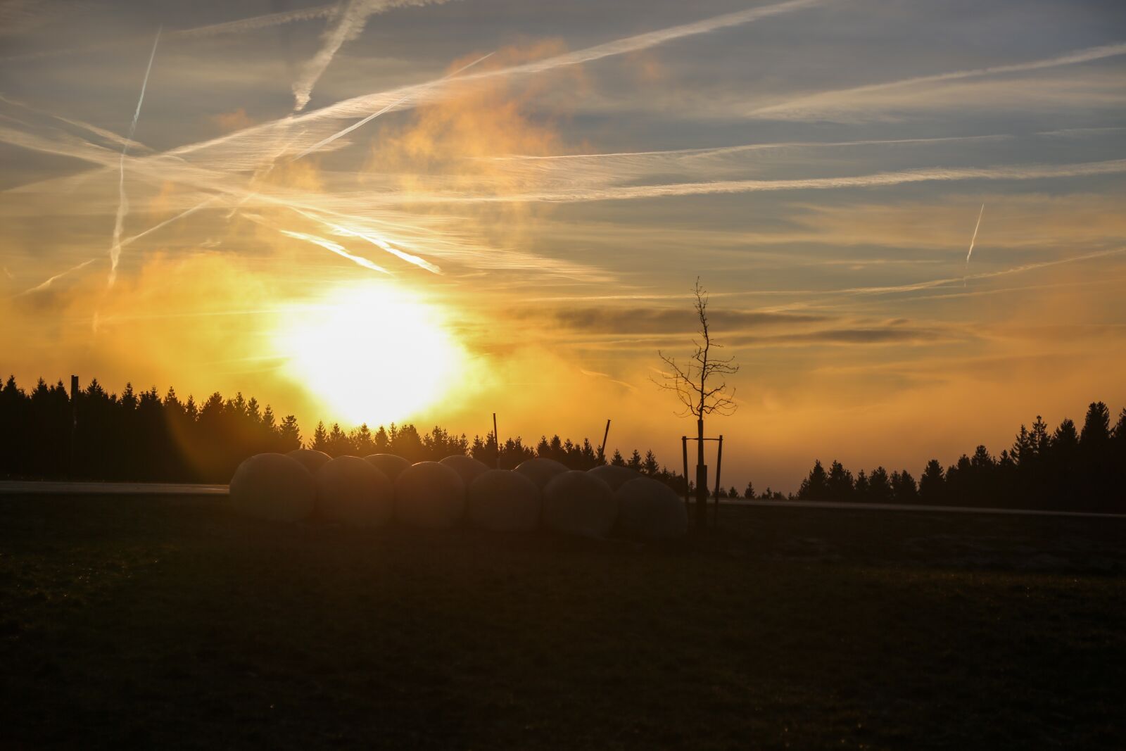 Canon EF 24-105mm F4L IS USM sample photo. Morning, nature, sunrise photography