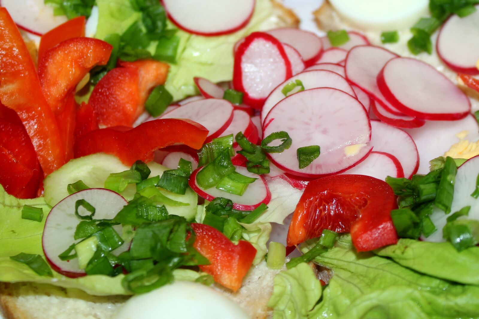 Canon EOS 1200D (EOS Rebel T5 / EOS Kiss X70 / EOS Hi) sample photo. Vegetables, nutrition, radish photography