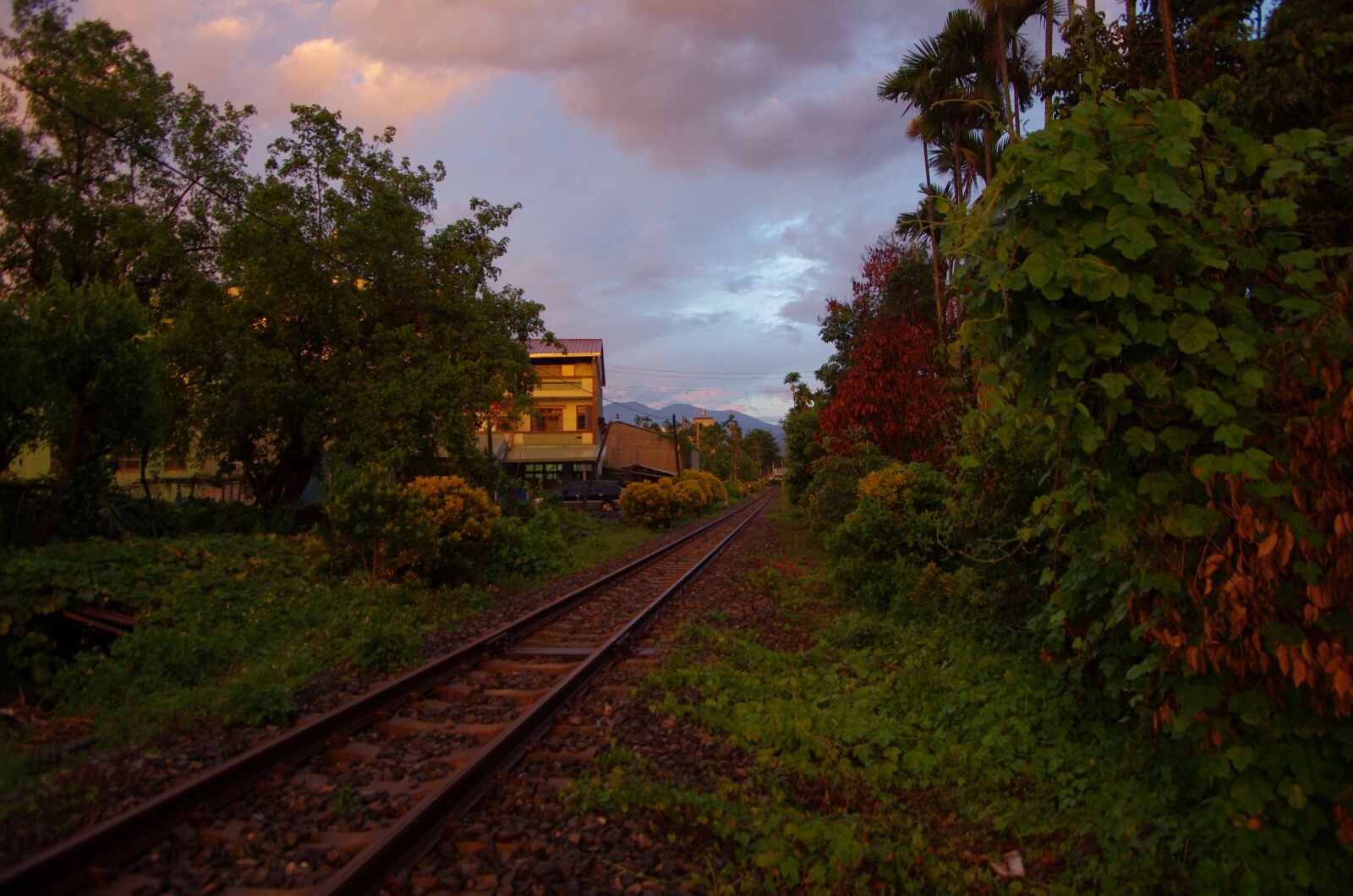 Pentax K-5 sample photo. Train railway, taiwan, rural photography
