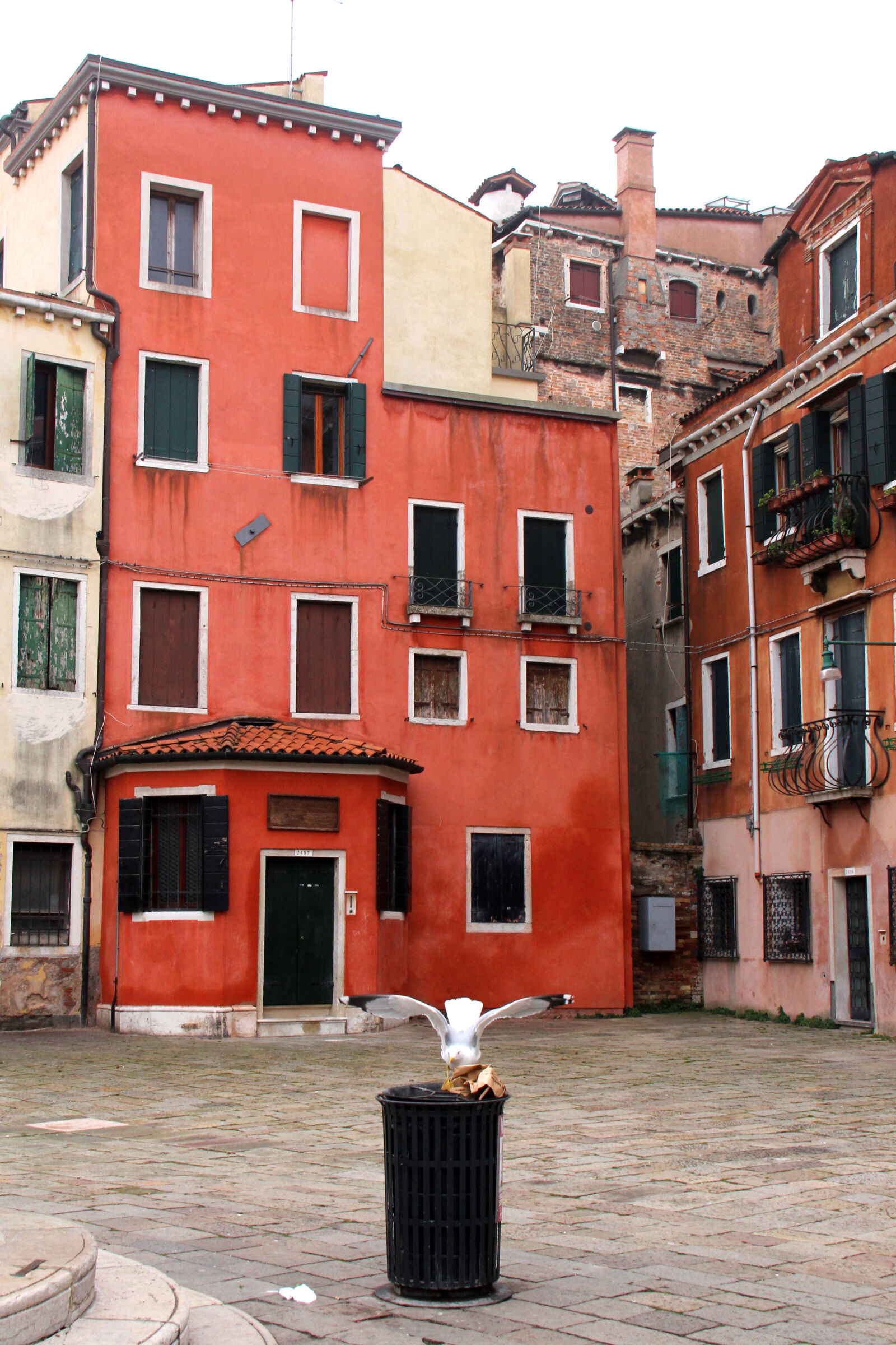 Canon EF-S 18-200mm F3.5-5.6 IS sample photo. Italia, seagull, venezia photography