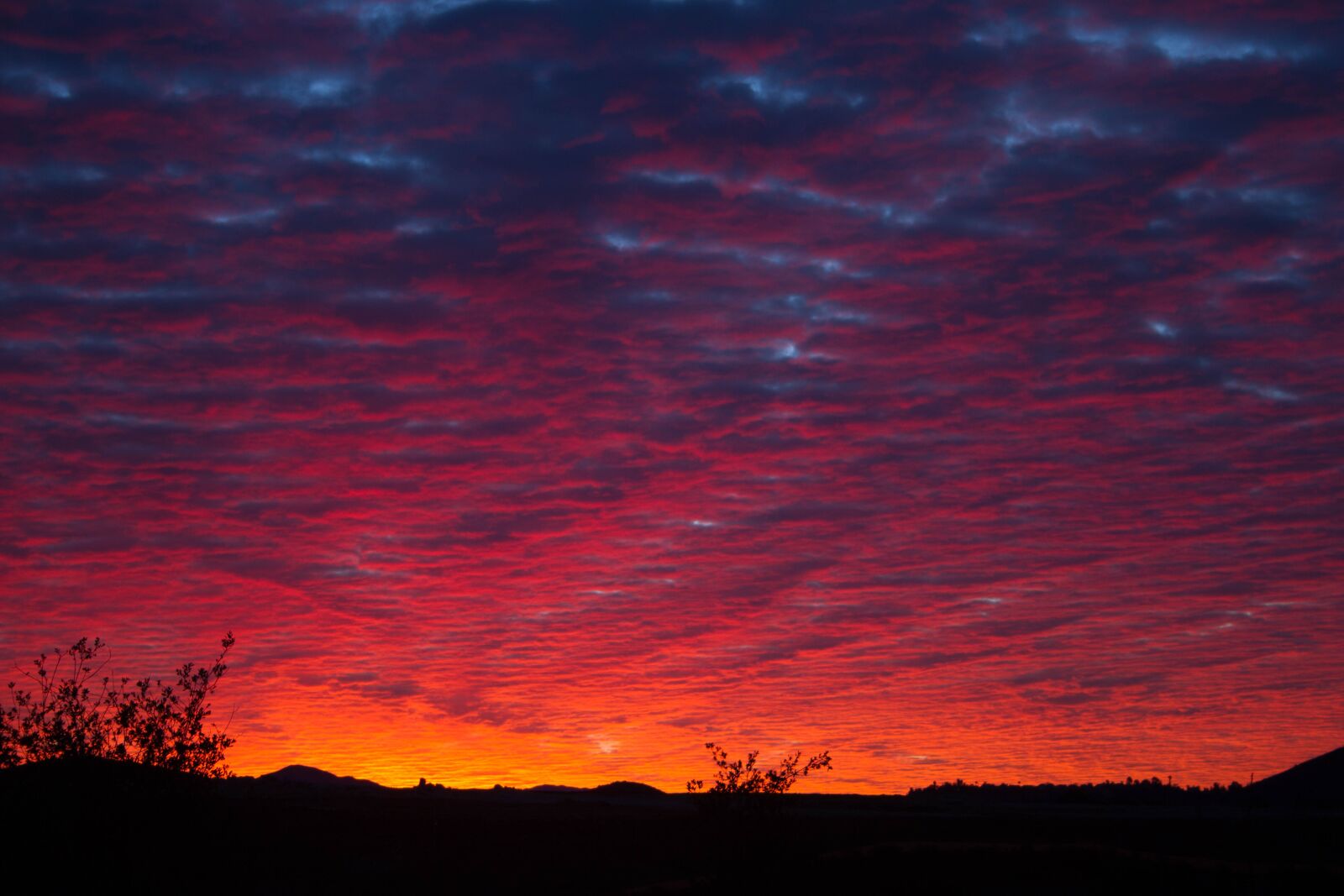 Canon EF-S 18-55mm F3.5-5.6 II sample photo. Sunset, sky, outdoor photography