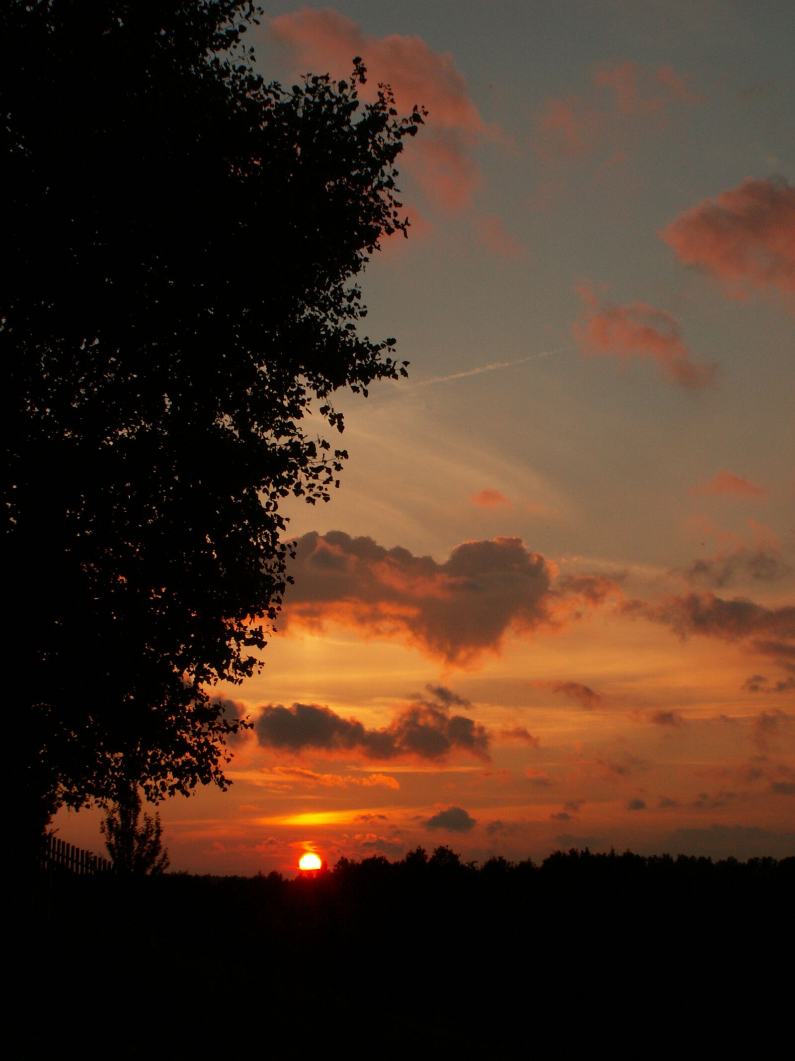 KONICA MINOLTA DiMAGE Z5 sample photo. Sunset, tree, the sun photography