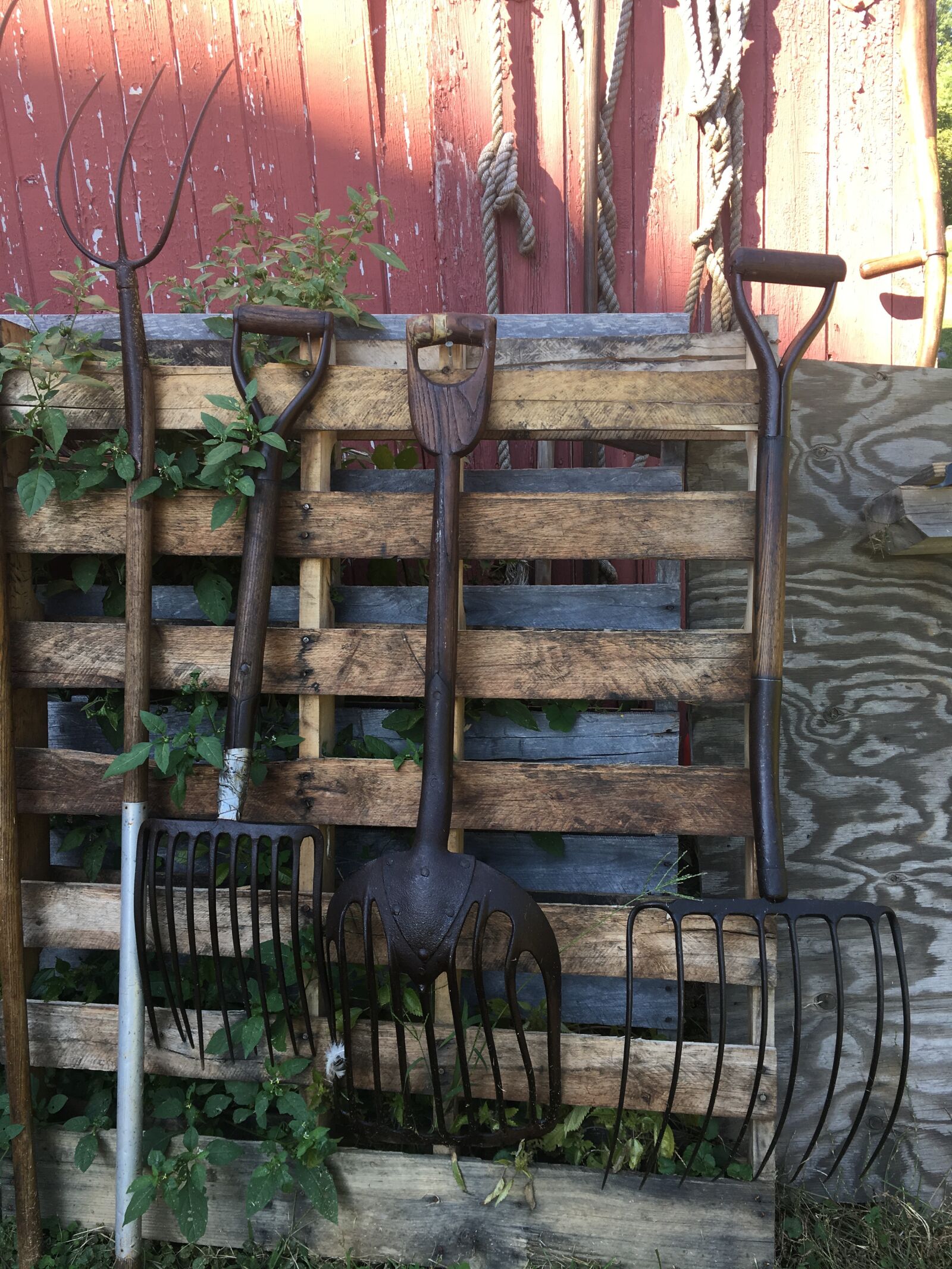 iPhone 6s Plus back camera 4.15mm f/2.2 sample photo. Farmer, tools, farming, tools photography