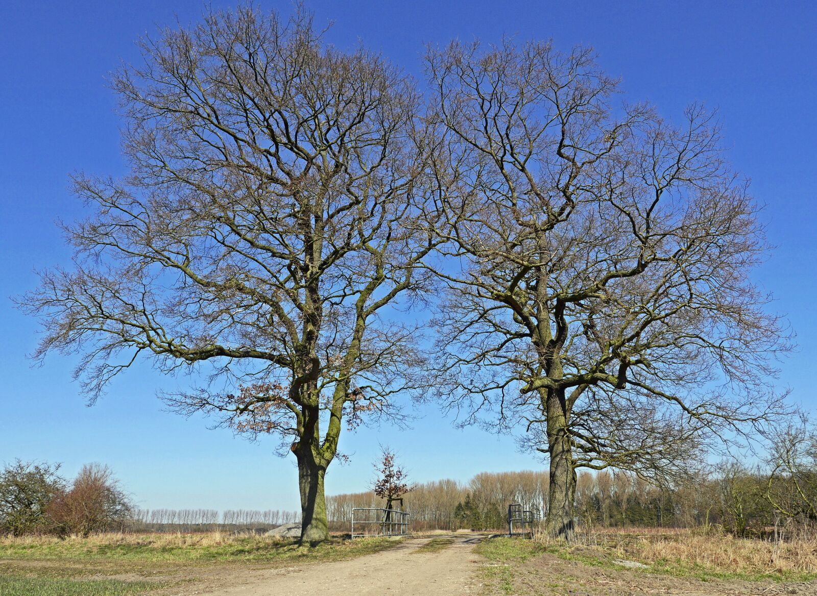 Panasonic Lumix DMC-GH3 sample photo. M nsterland, bridge brook photography