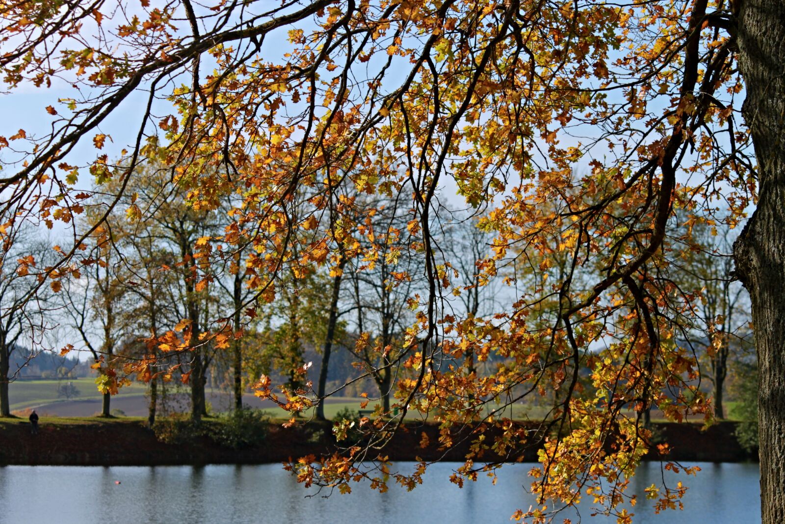 Canon EOS 1100D (EOS Rebel T3 / EOS Kiss X50) sample photo. Landscape, autumn landscape, lake photography