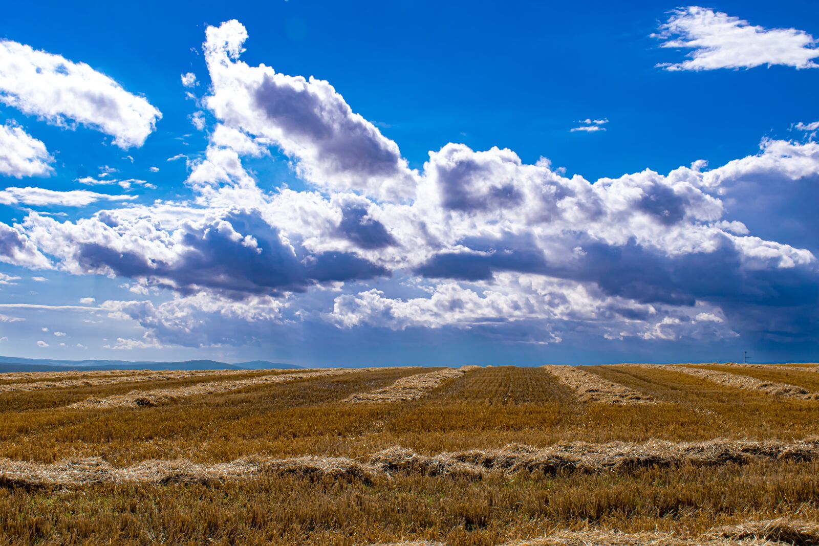 Nikon D5300 sample photo. Hayfield, field, cloudy sky photography