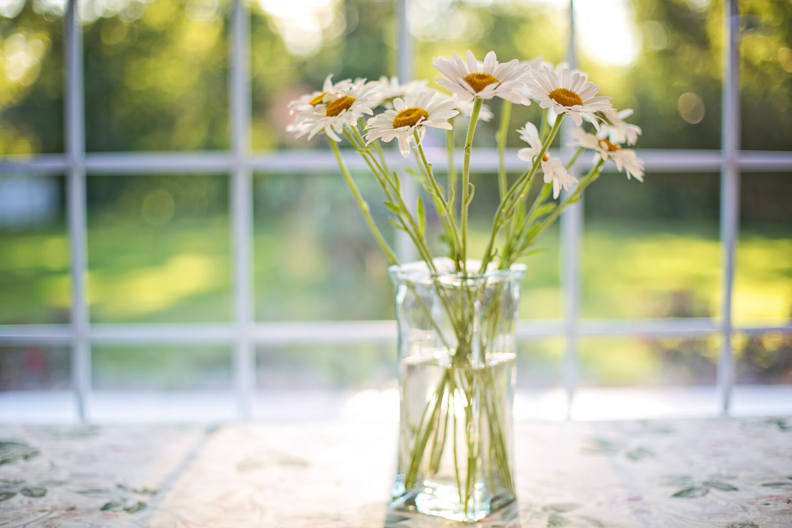 Canon EF 50mm F1.4 USM sample photo. Daisies, vase, window photography