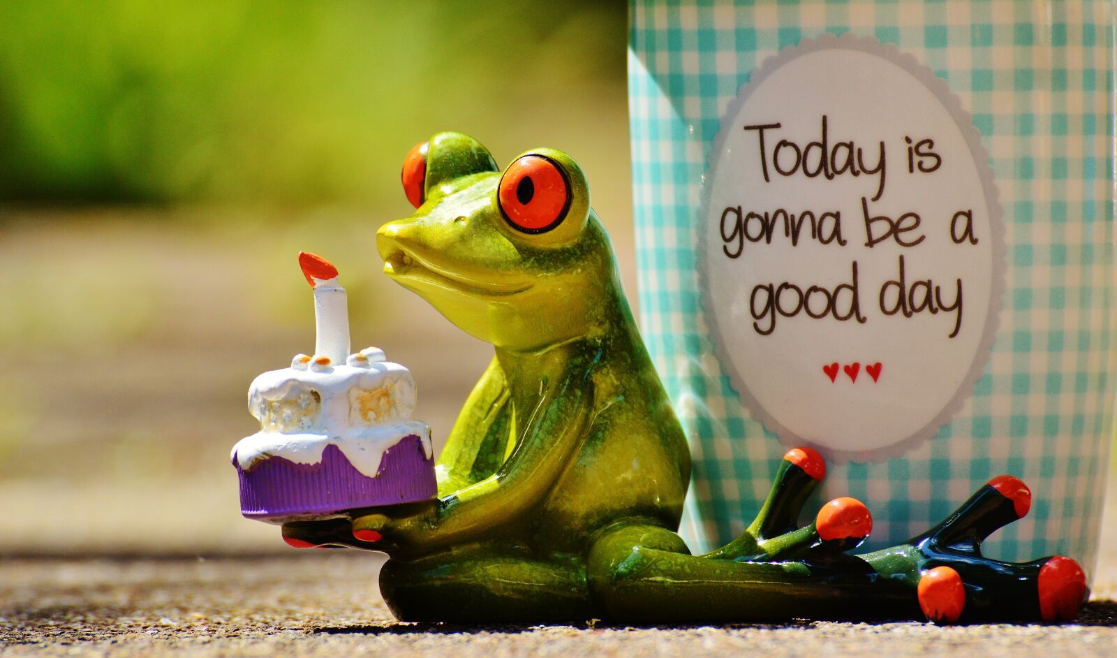 Nikon D3200 sample photo. Beautiful day, birthday, joy photography