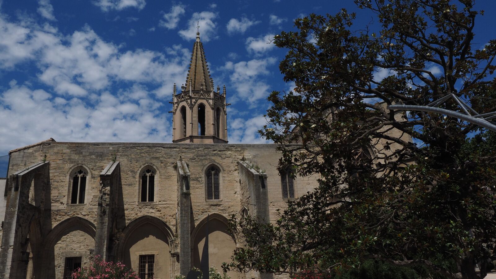 Olympus OM-D E-M1 + Olympus M.Zuiko Digital ED 12-40mm F2.8 Pro sample photo. Church, avignon, stiftskirche saint-didier photography