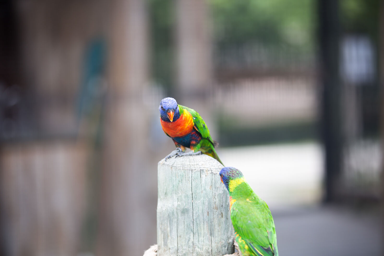 Canon EOS 6D sample photo